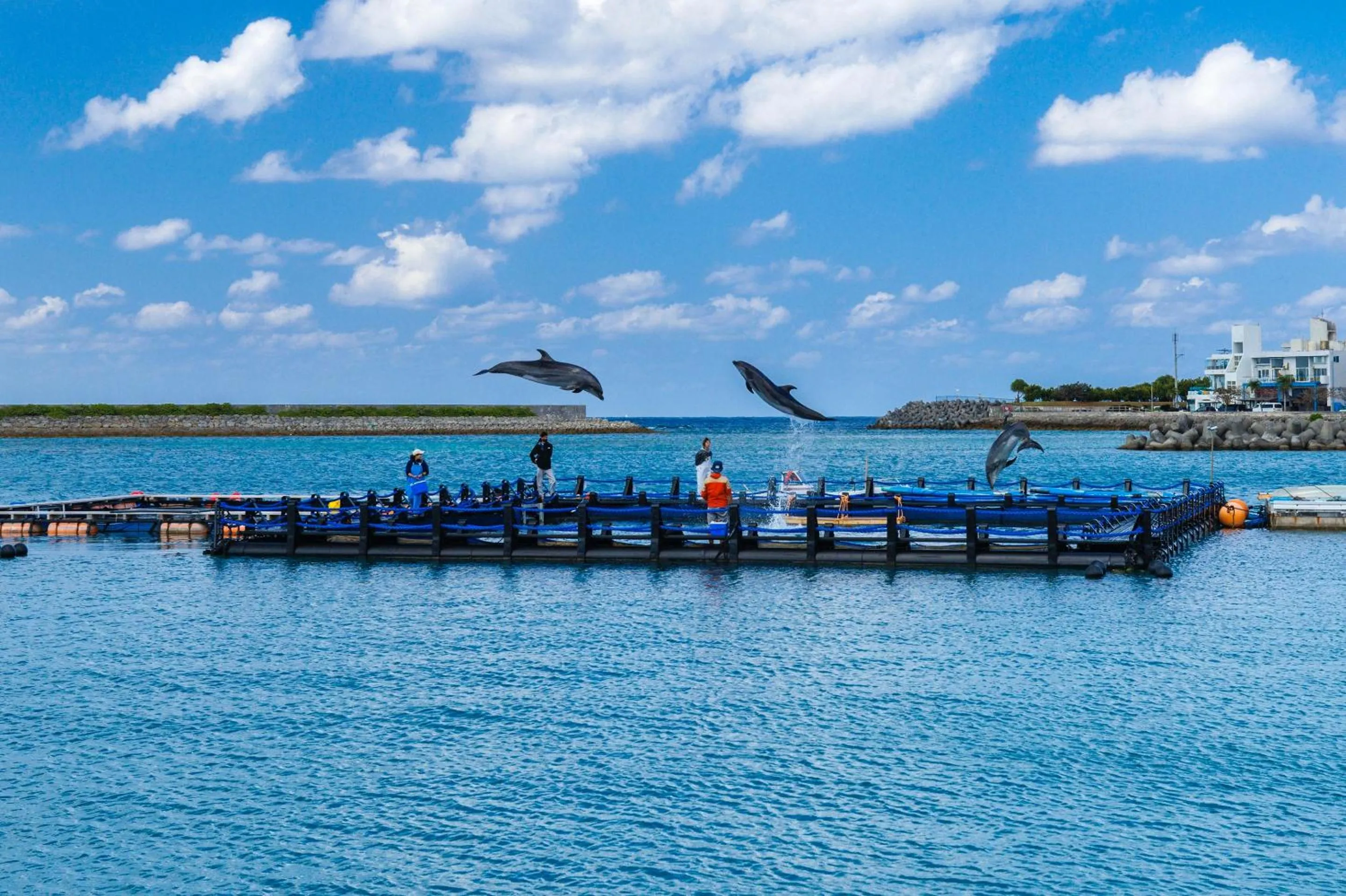 Nearby landmark in Aqua Resort in Chatan