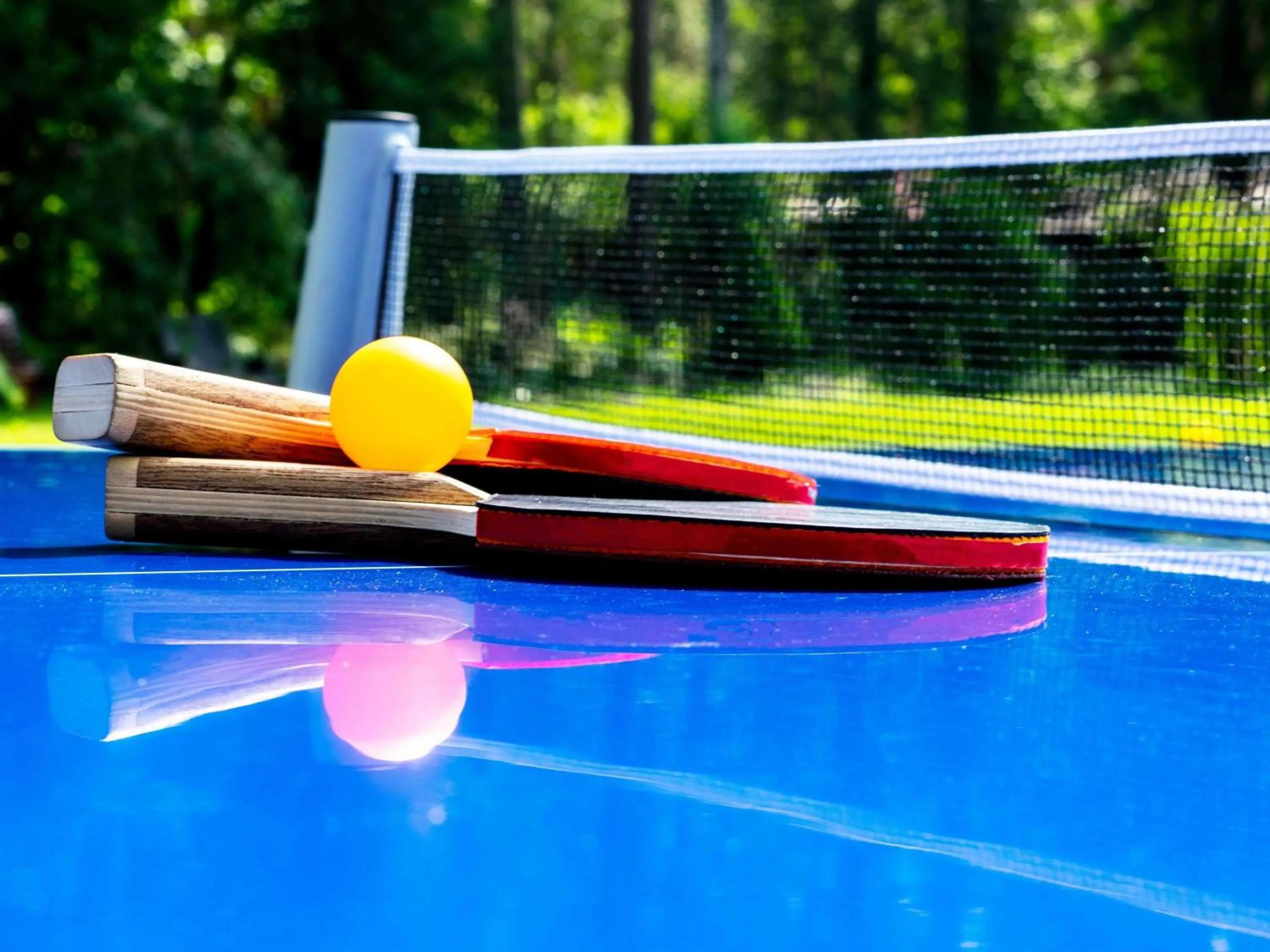 Other in Mercure Aix-les-Bains Domaine de Marlioz Hôtel & Spa