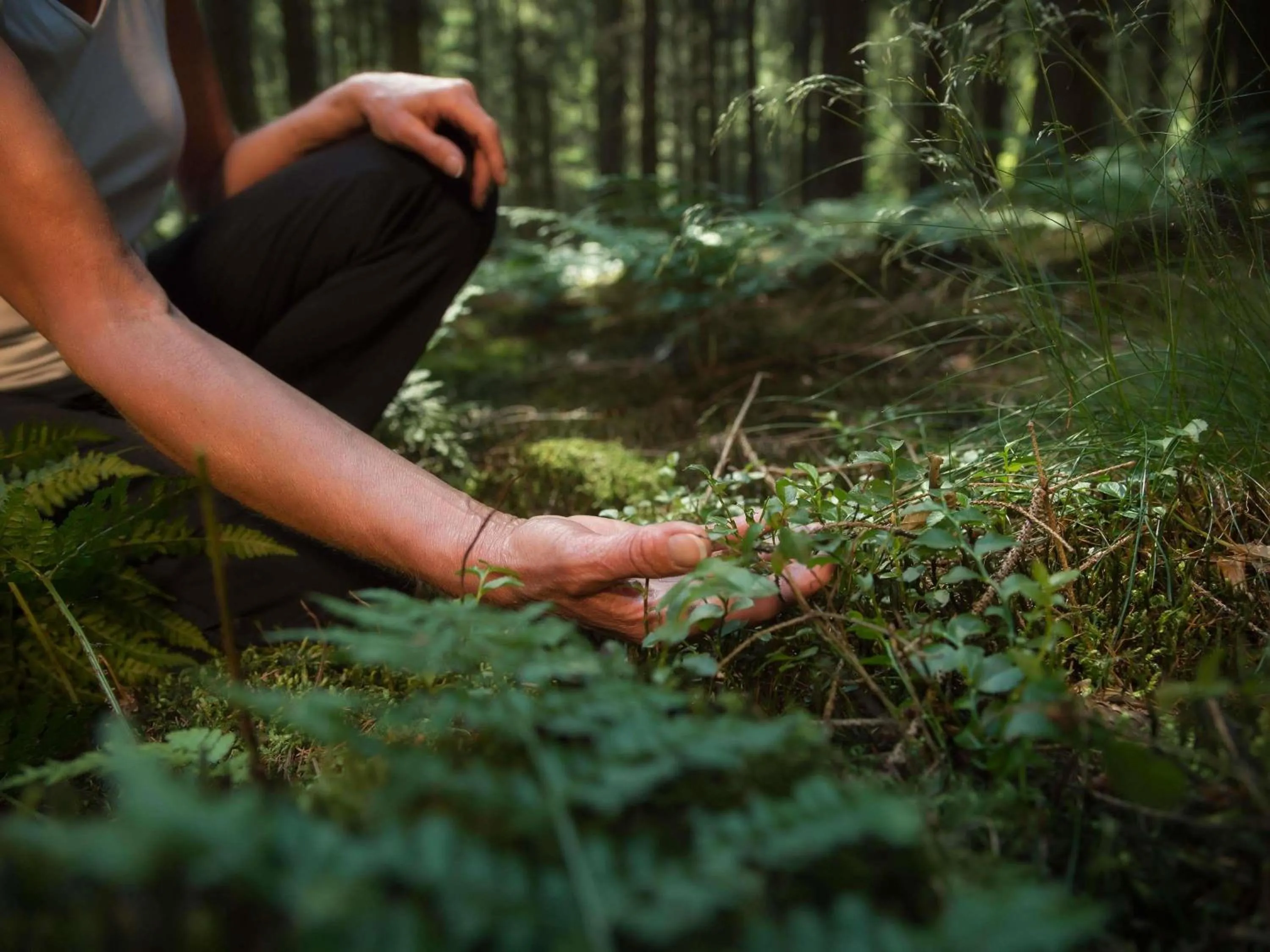 Fitness centre/facilities in Mercure Aix-les-Bains Domaine de Marlioz Hôtel & Spa