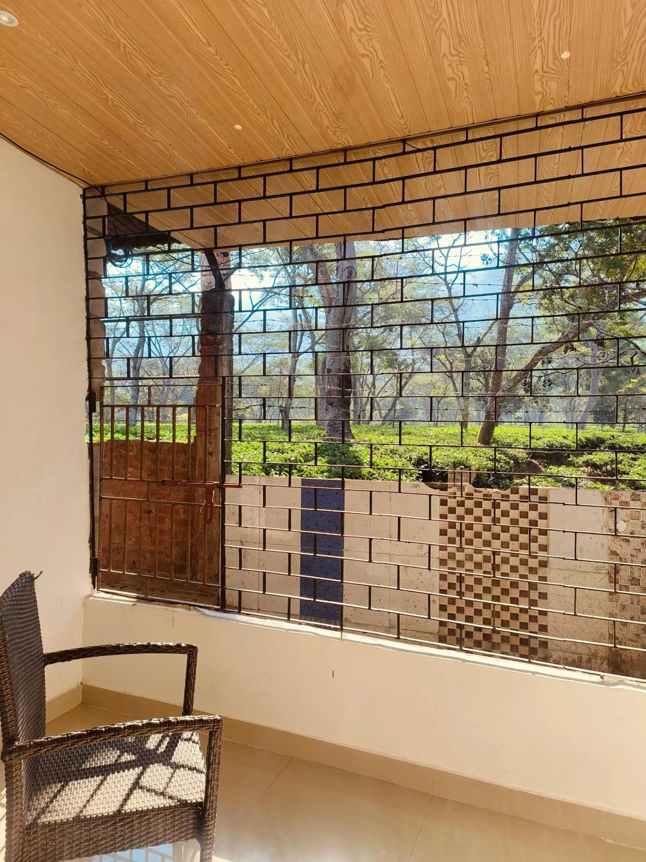 View (from property/room) in Kaziranga Eco Village Resort