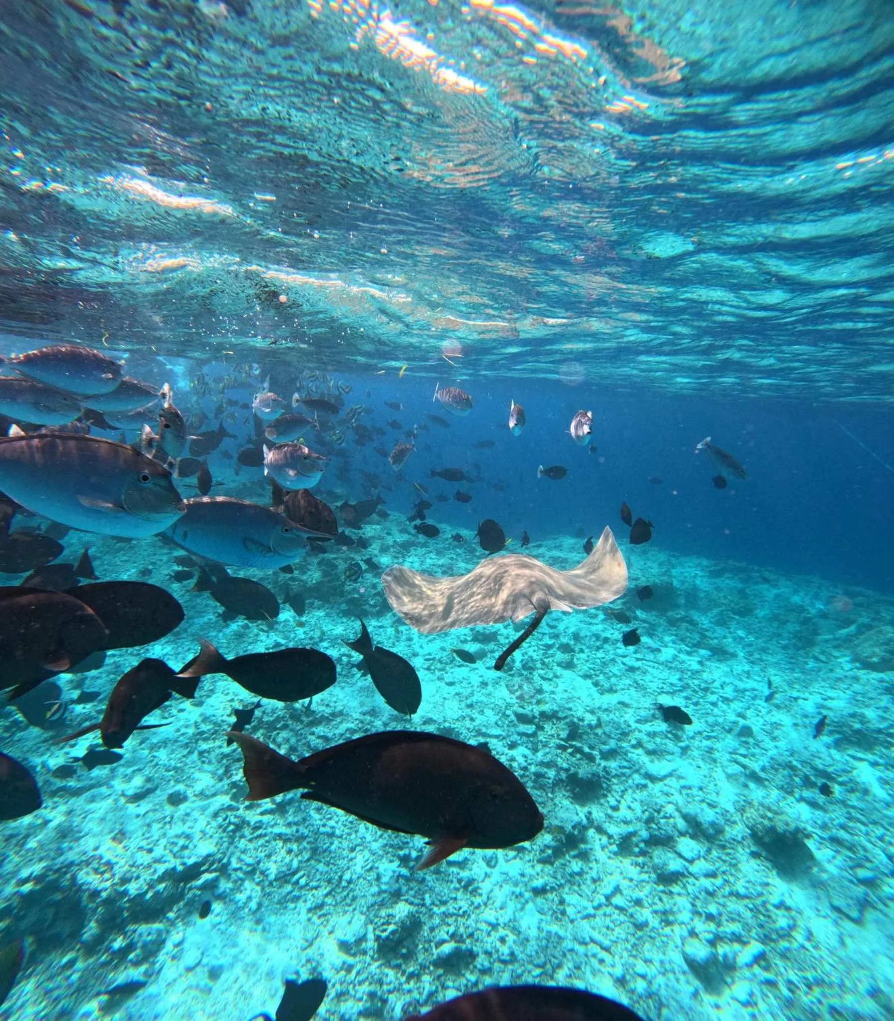 Snorkeling in Nirili Villa