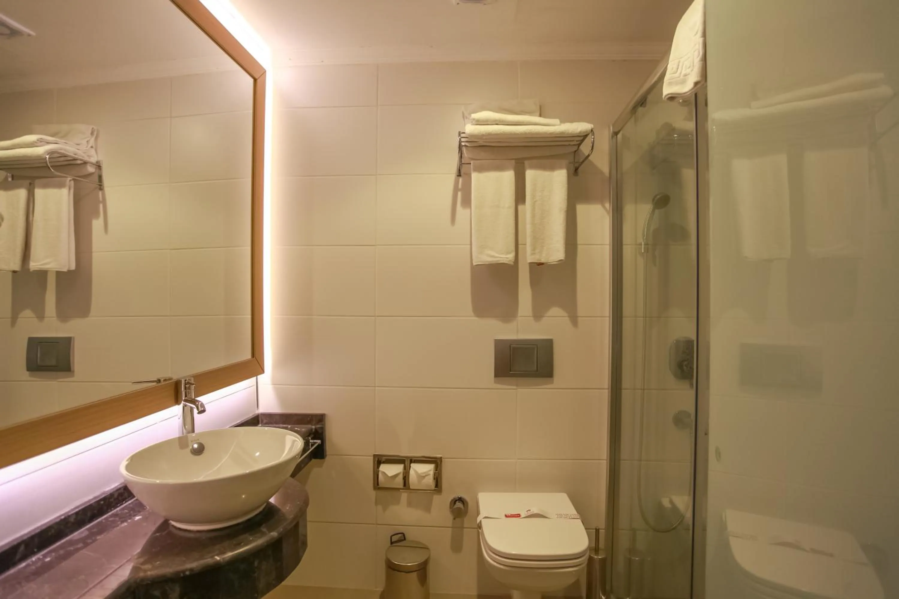 Toilet in Alp Pasa Fiore Garden Suites - Special Class