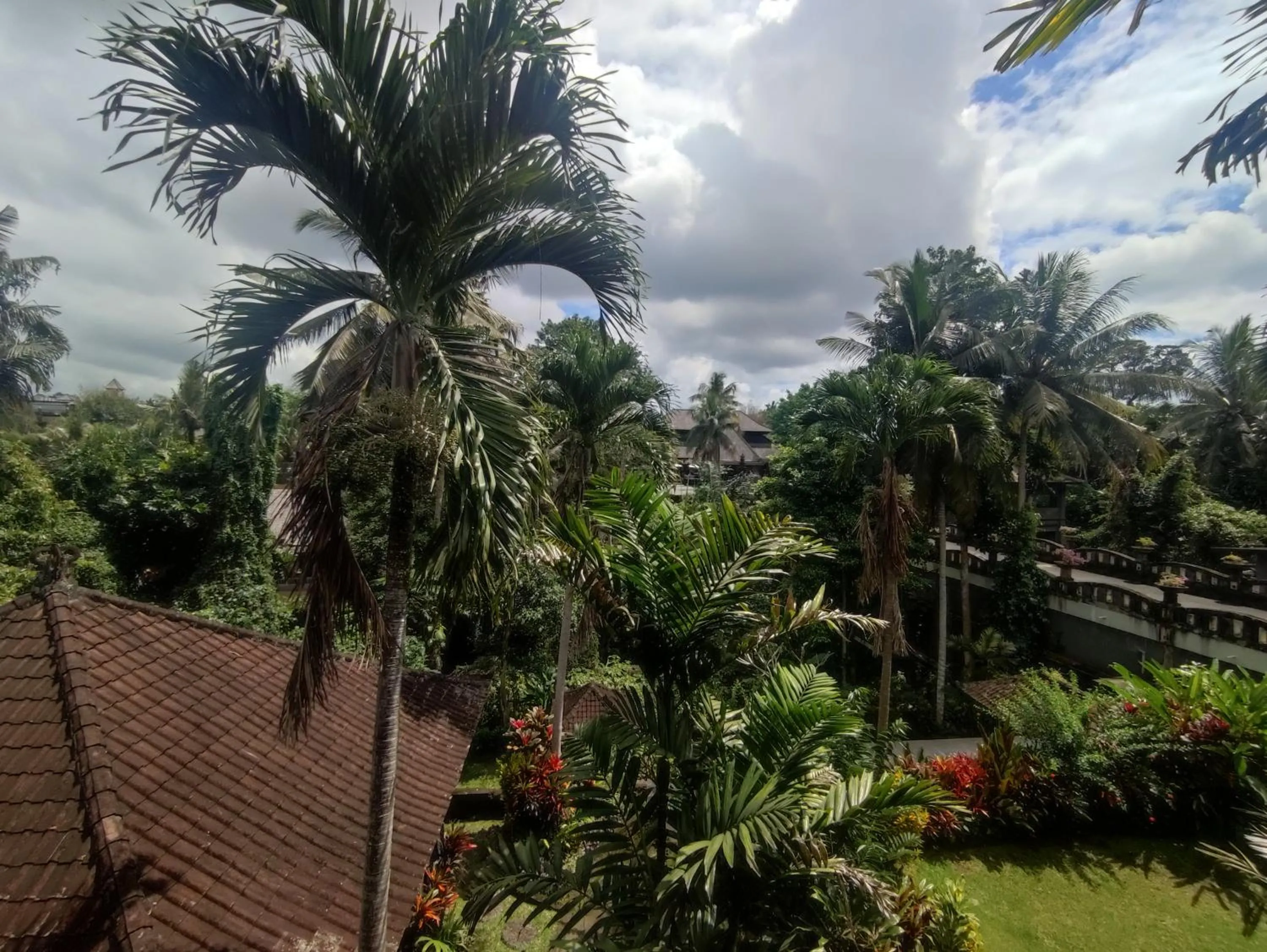 Garden view in Sari Wangi Cottage