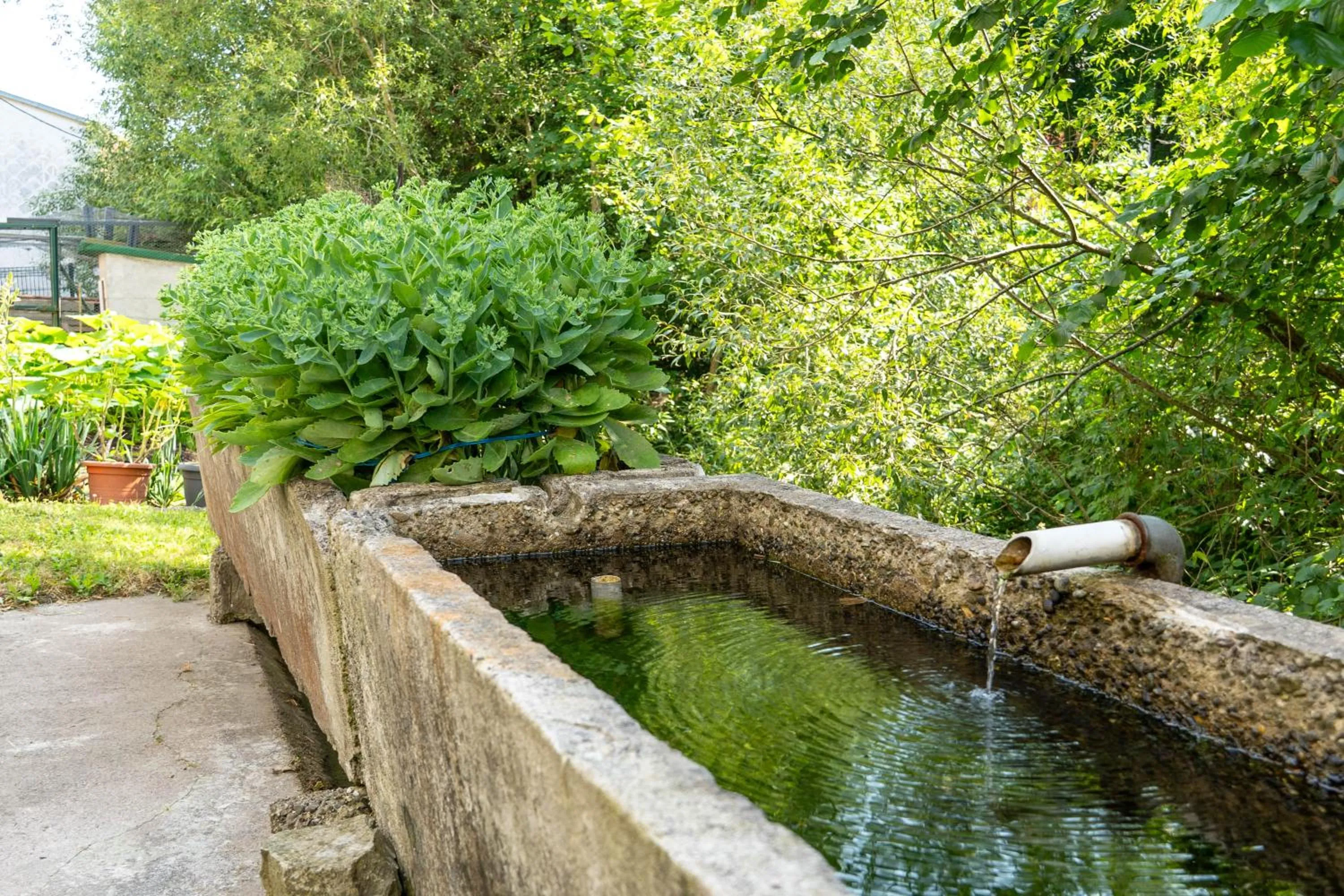 Garden in Chambres d'hôtes A la Fecht Nature et Bien-être