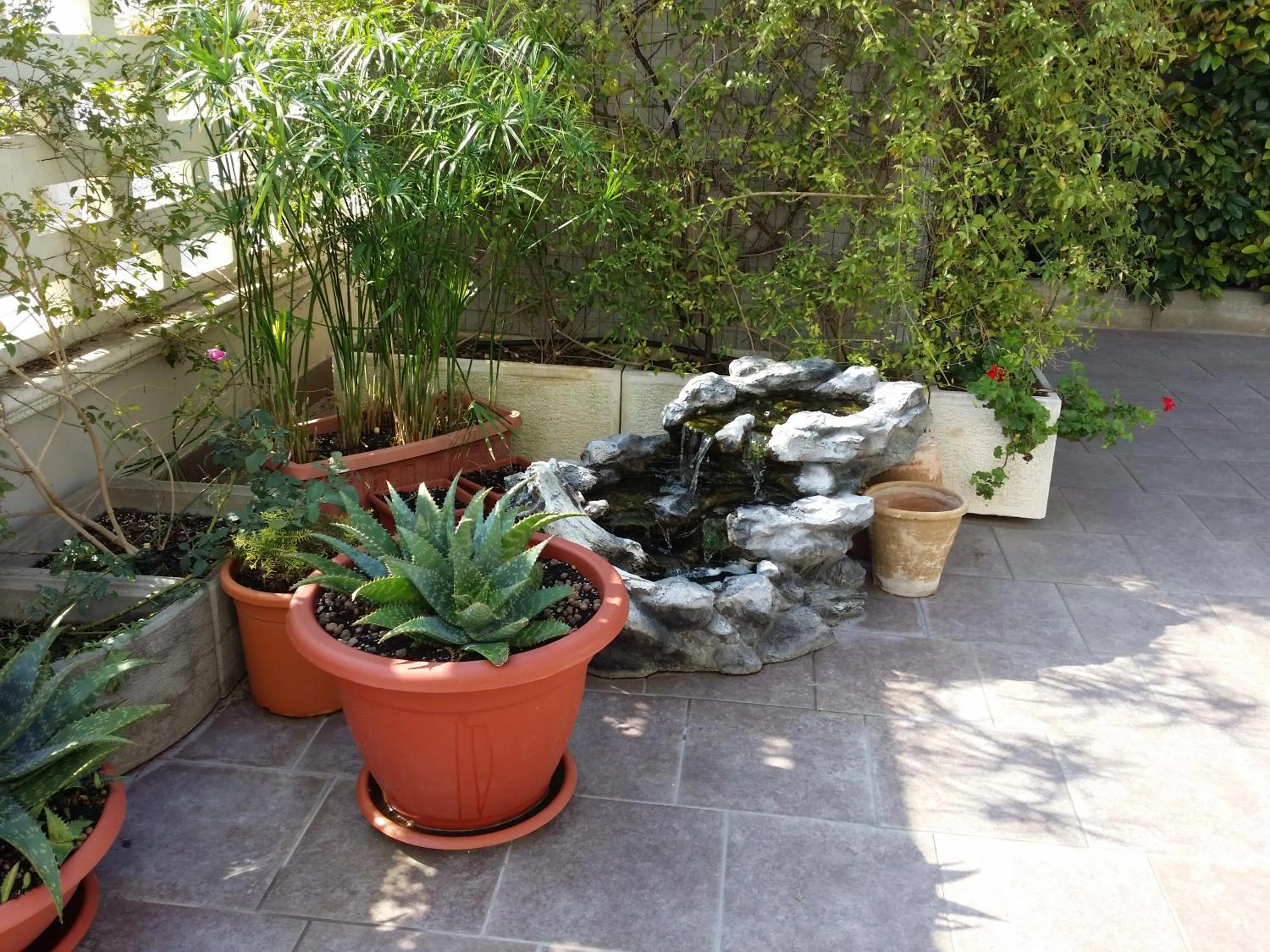 Garden view in La Tana del Lupo