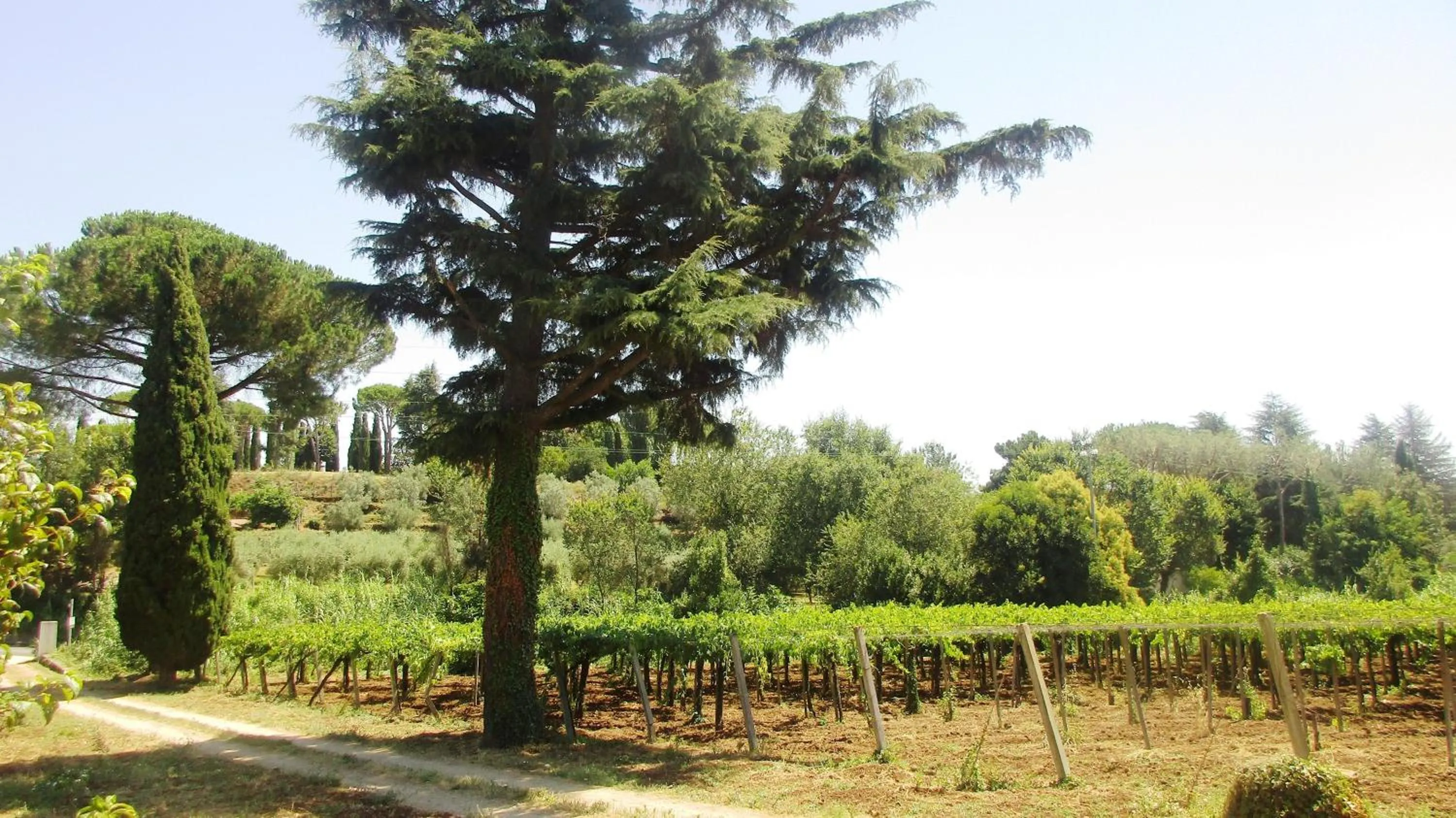 Natural landscape in Antico Casale Fabrizi