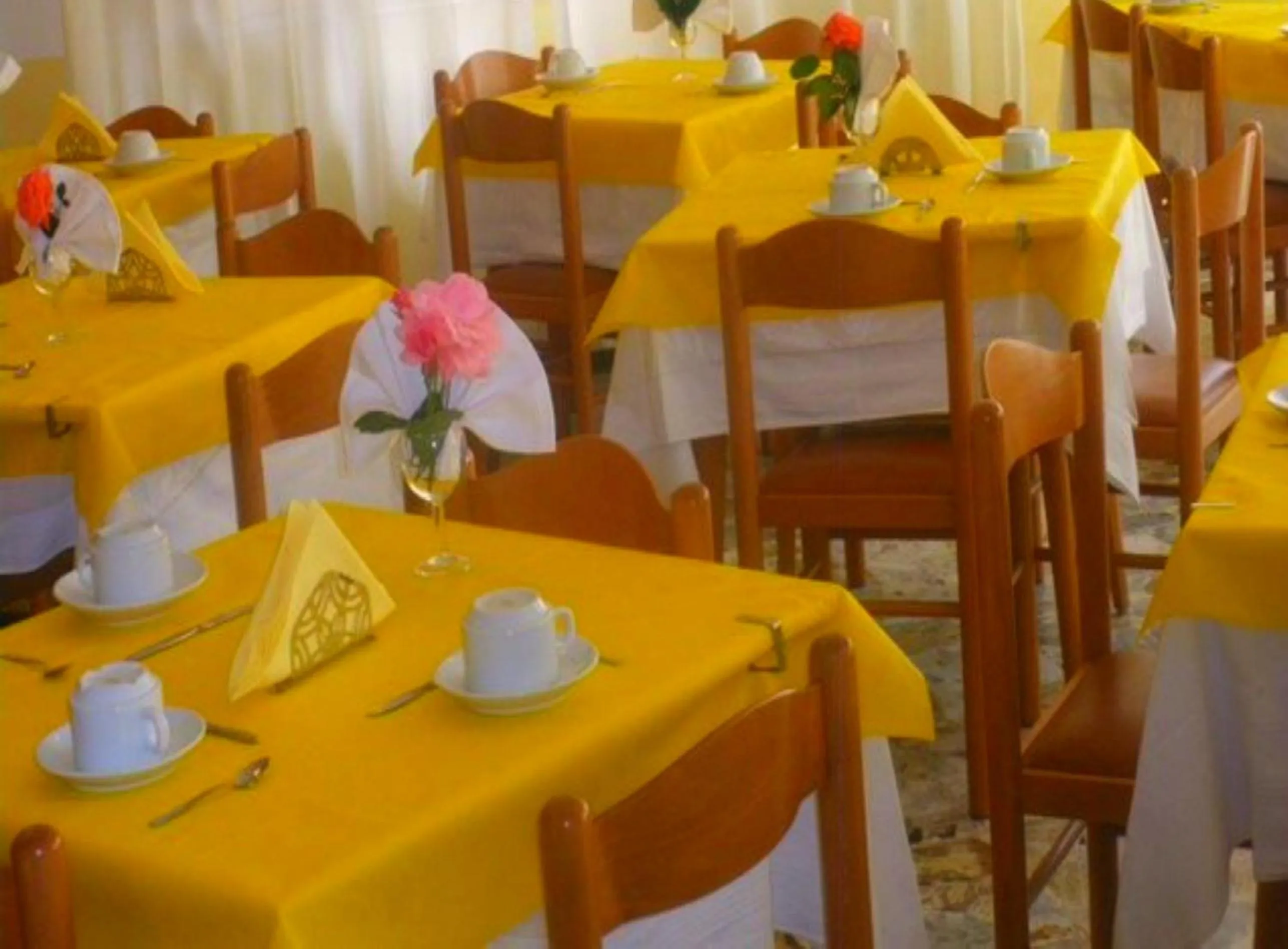 Restaurant/places to eat in Hotel Ronconi