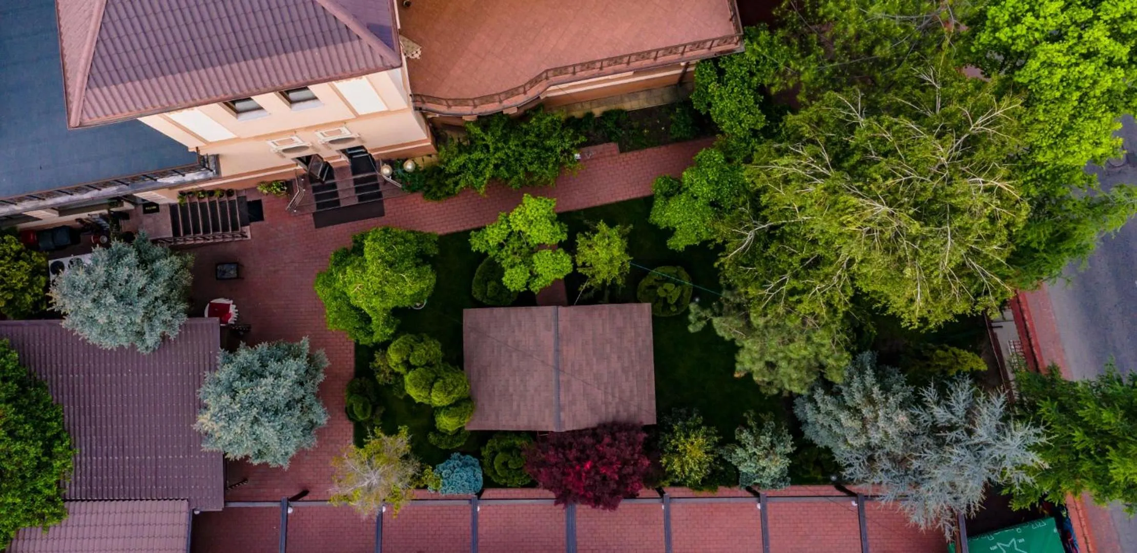 Garden view in Hotel Golden House