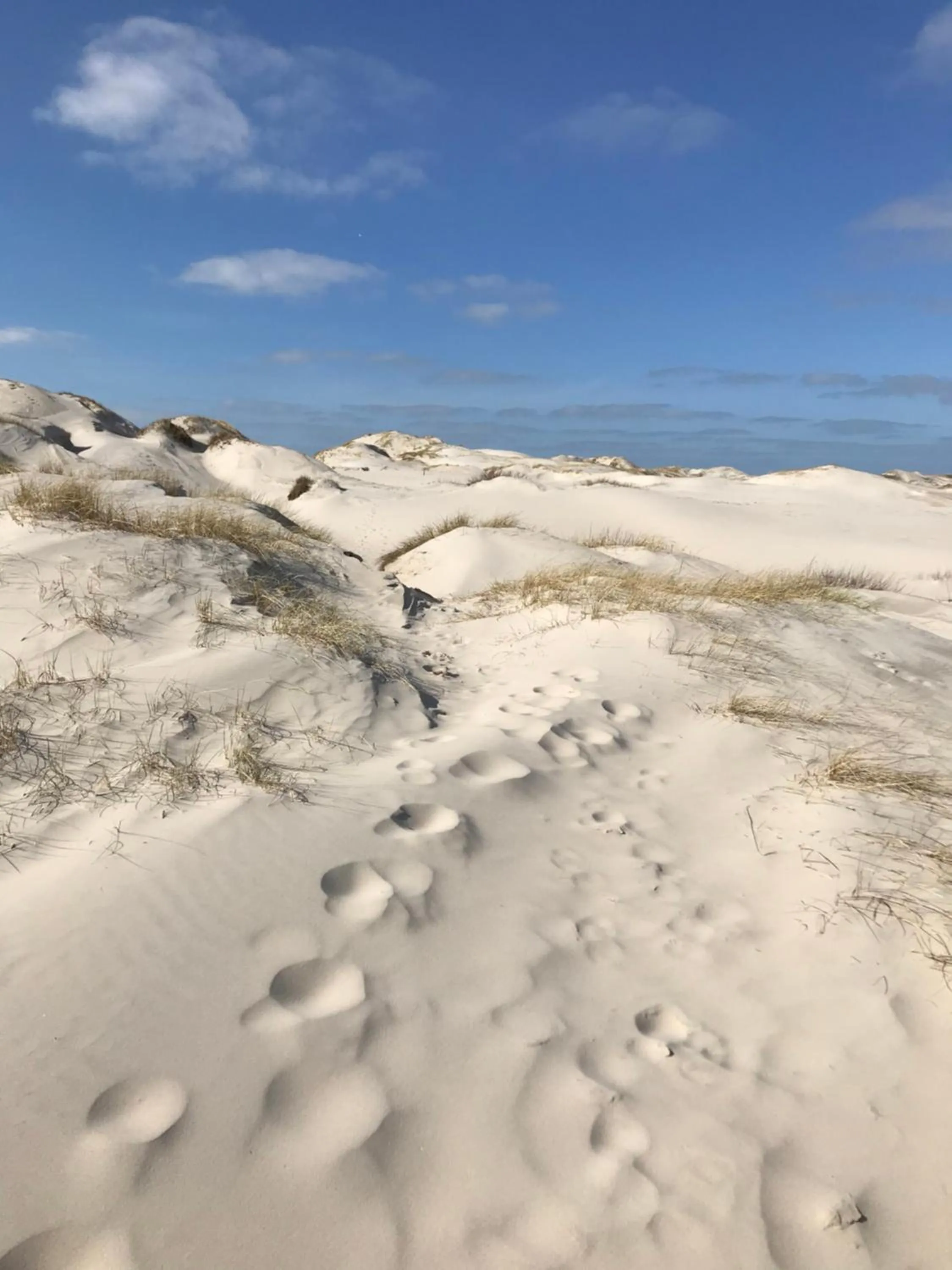 Natural landscape in Hotel Südstrand Amrum