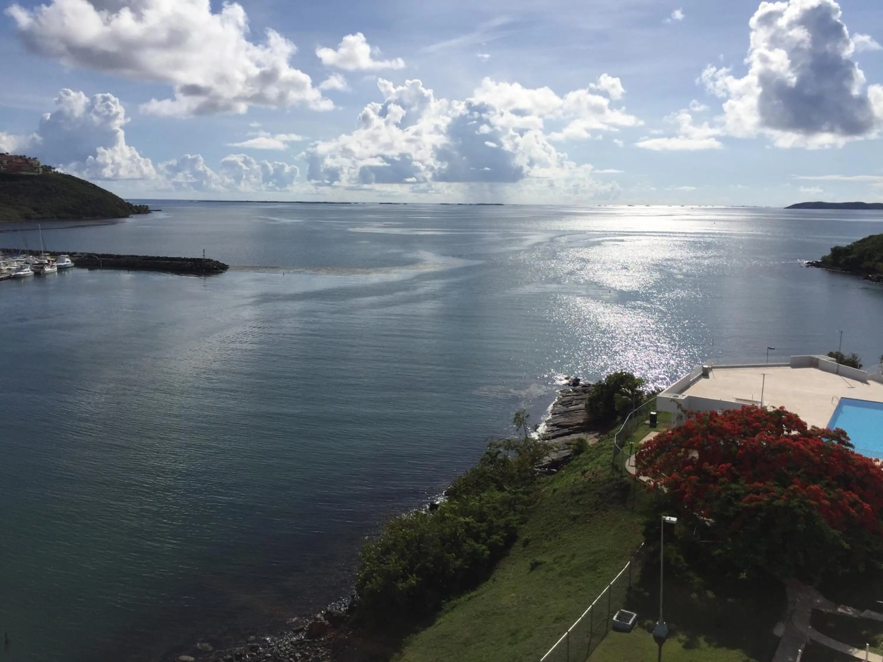 Natural landscape in Waterfront studio at Fajardo, Puerto Rico
