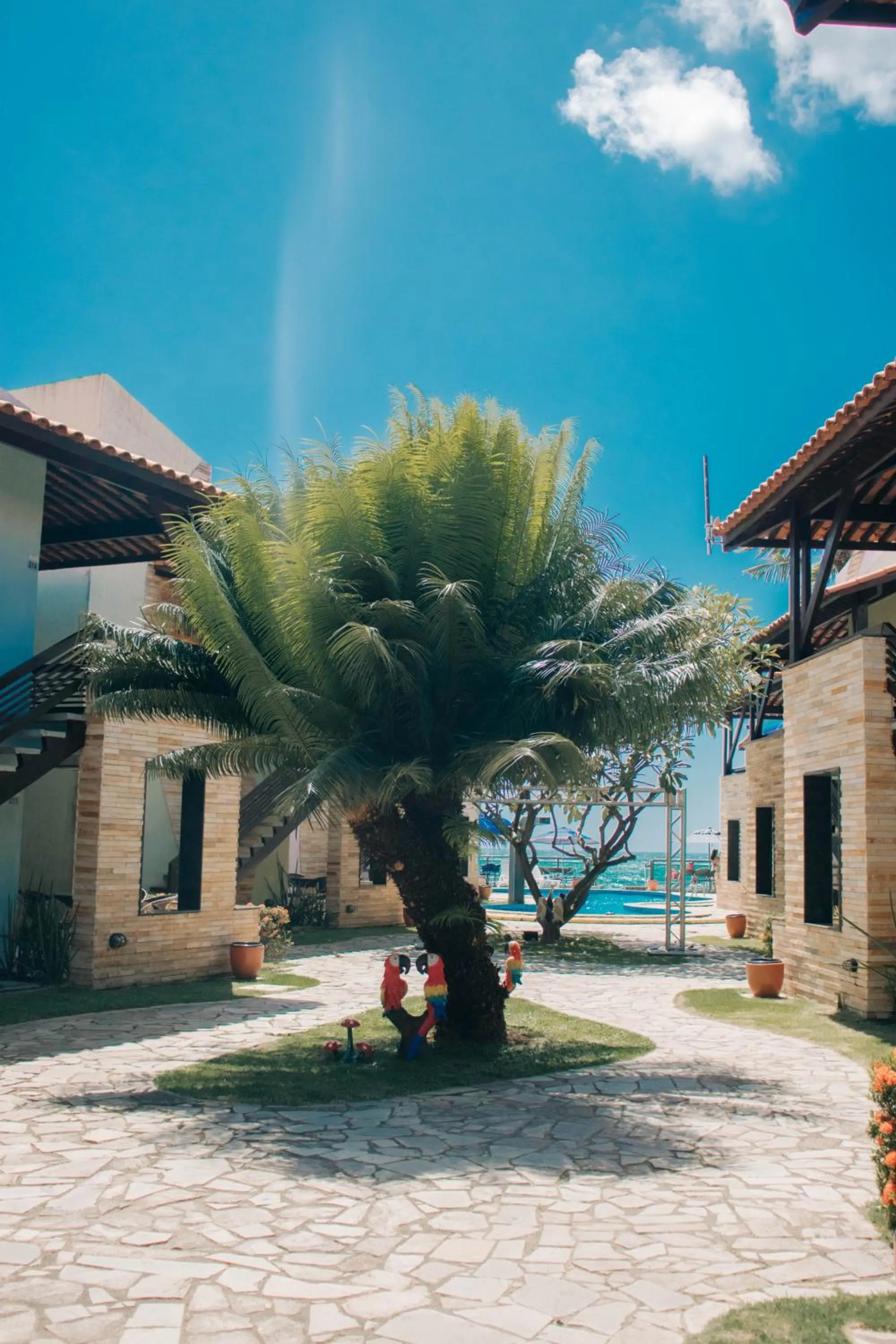 Garden in Hotel Arrecife dos Corais
