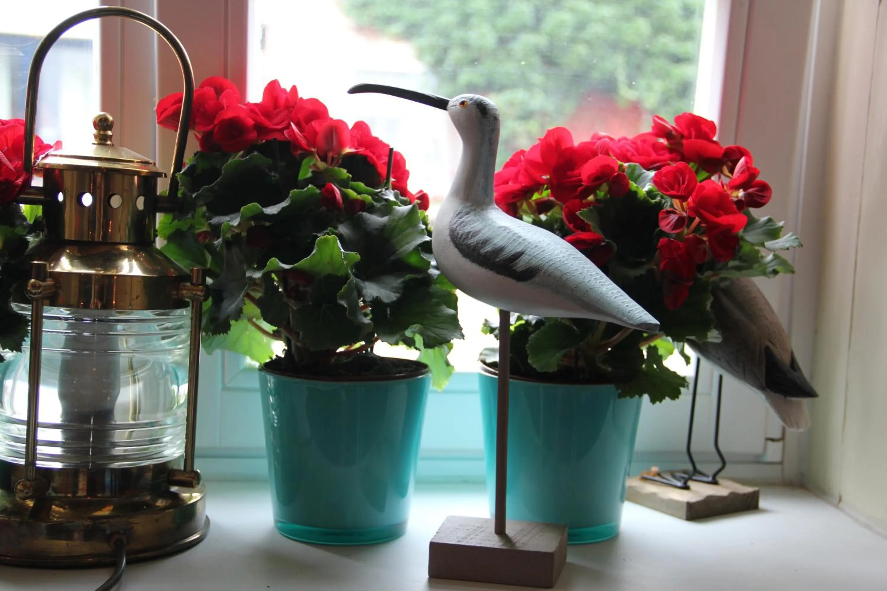 Restaurant/places to eat in Hotel Lili Marleen