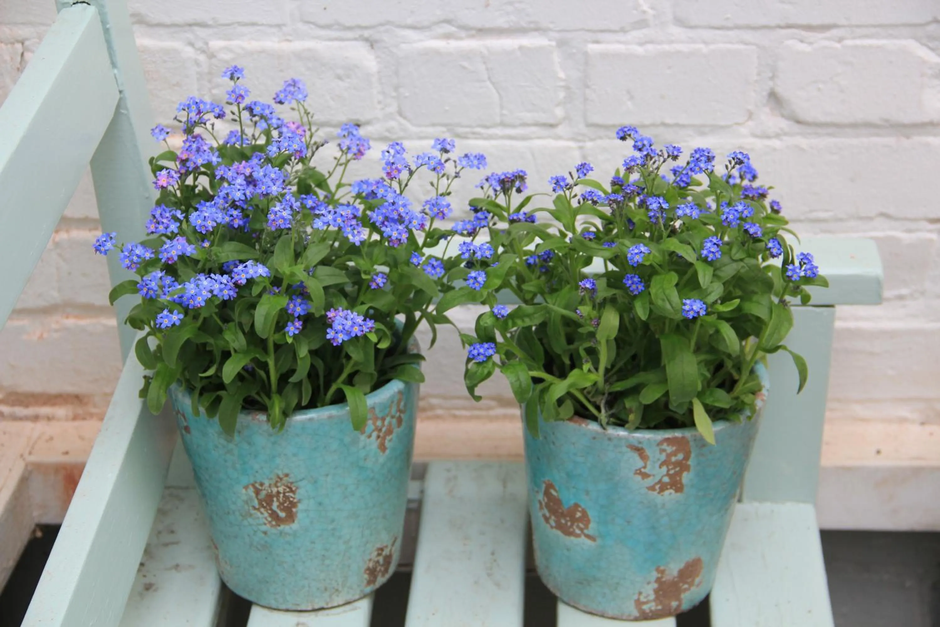 Decorative detail in Hotel Lili Marleen