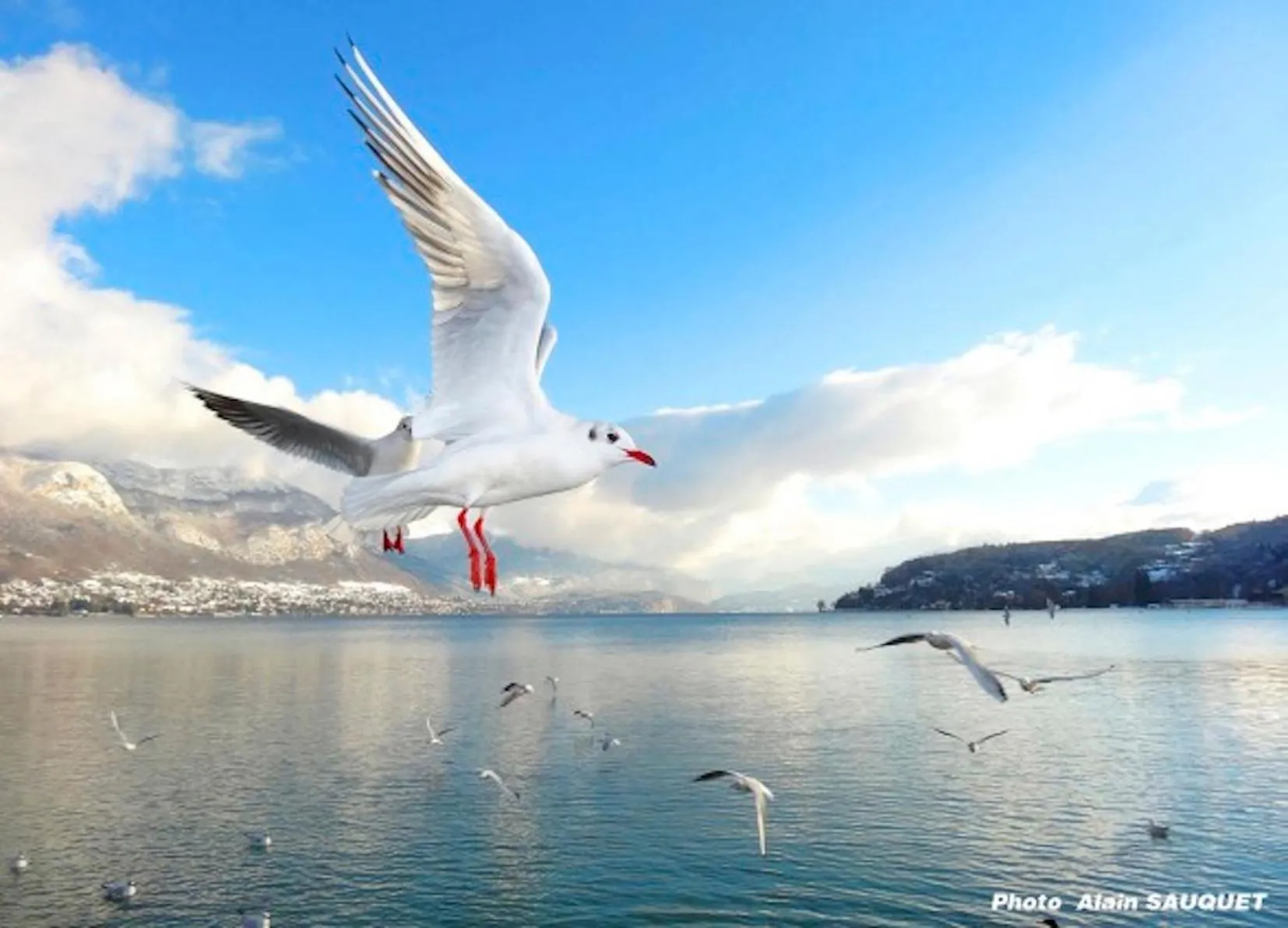 Natural landscape in Magic Moments Appartement