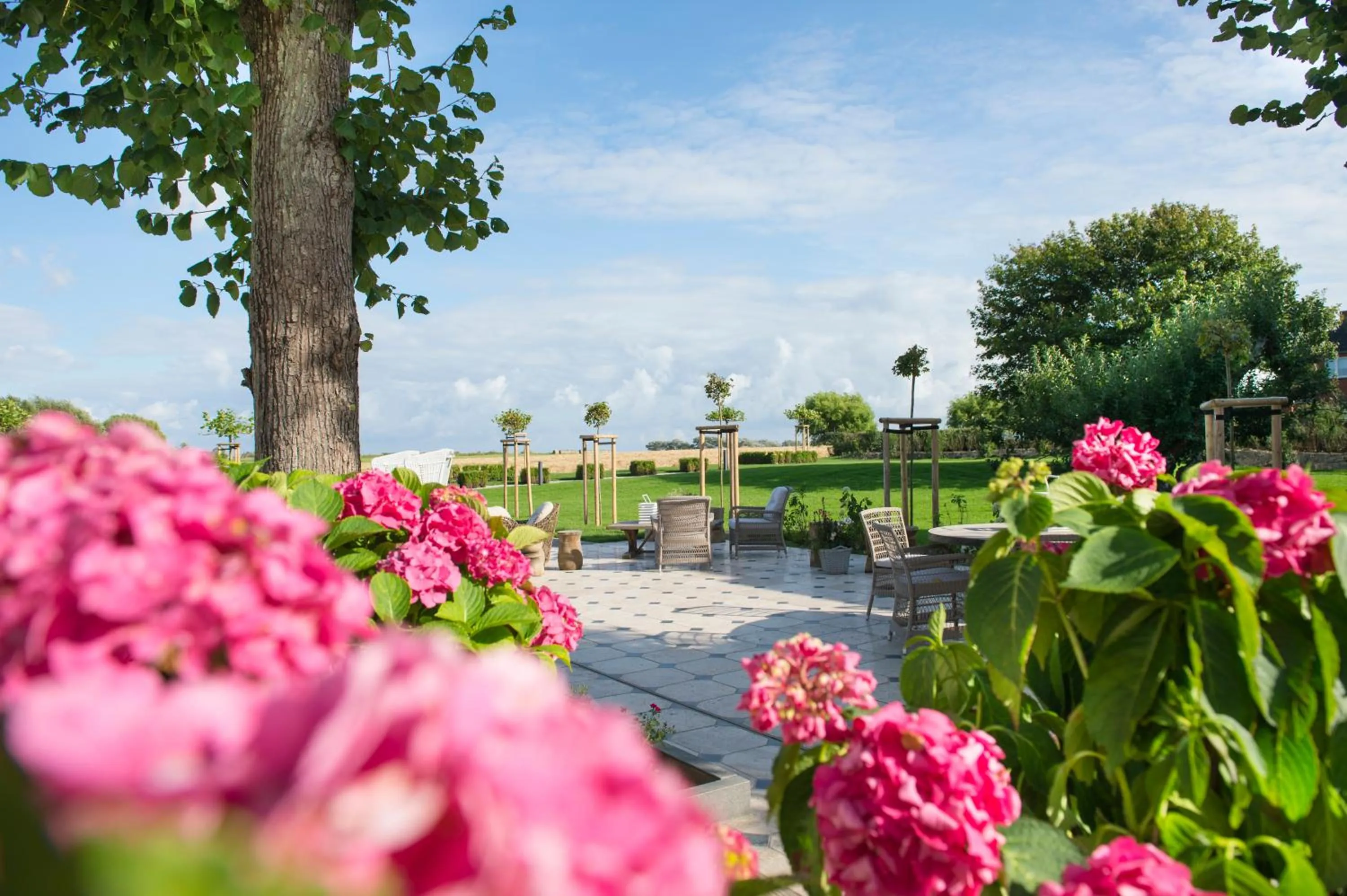 Patio in Hotel Hof Galerie