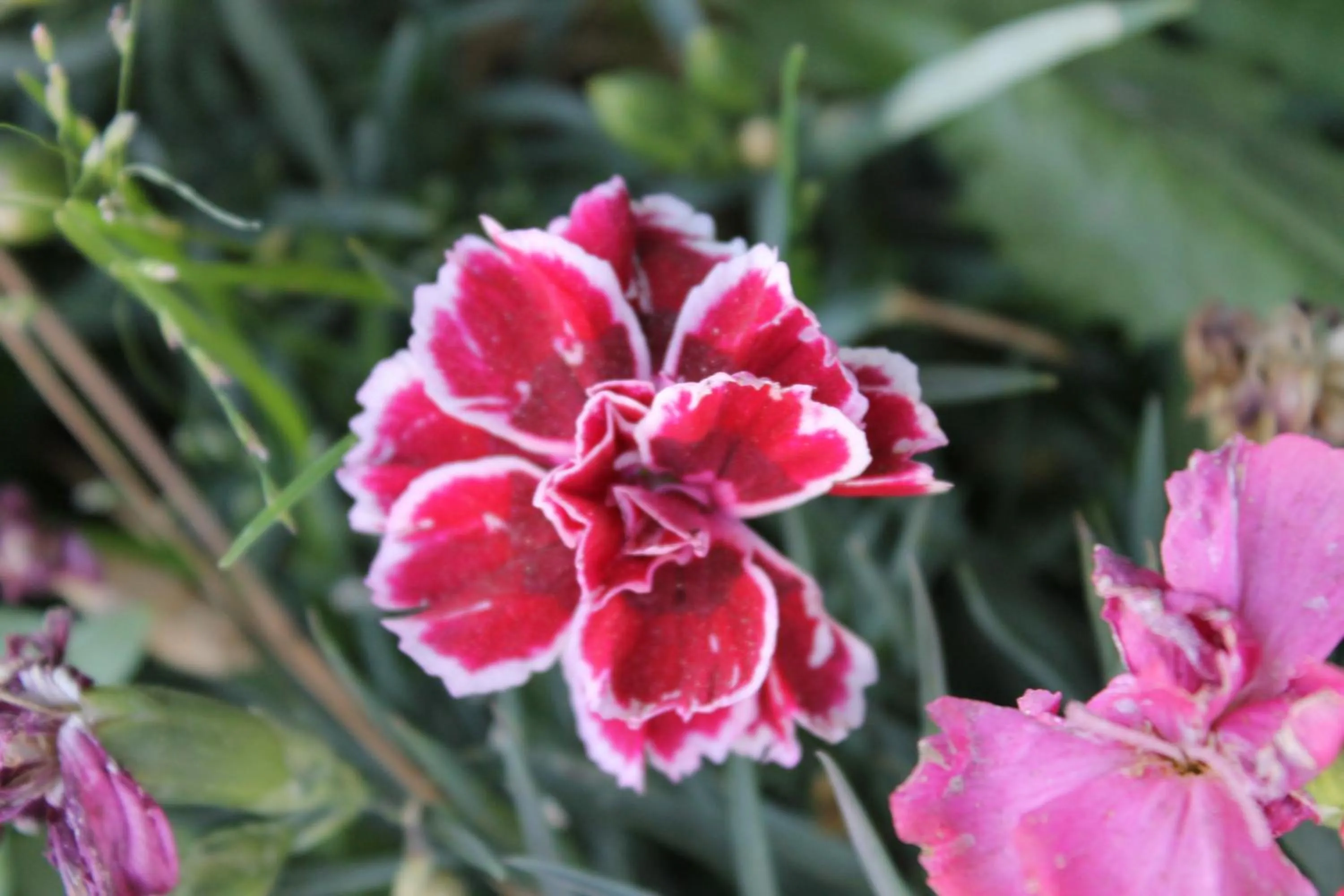 Decorative detail in Big Pines Mountain House