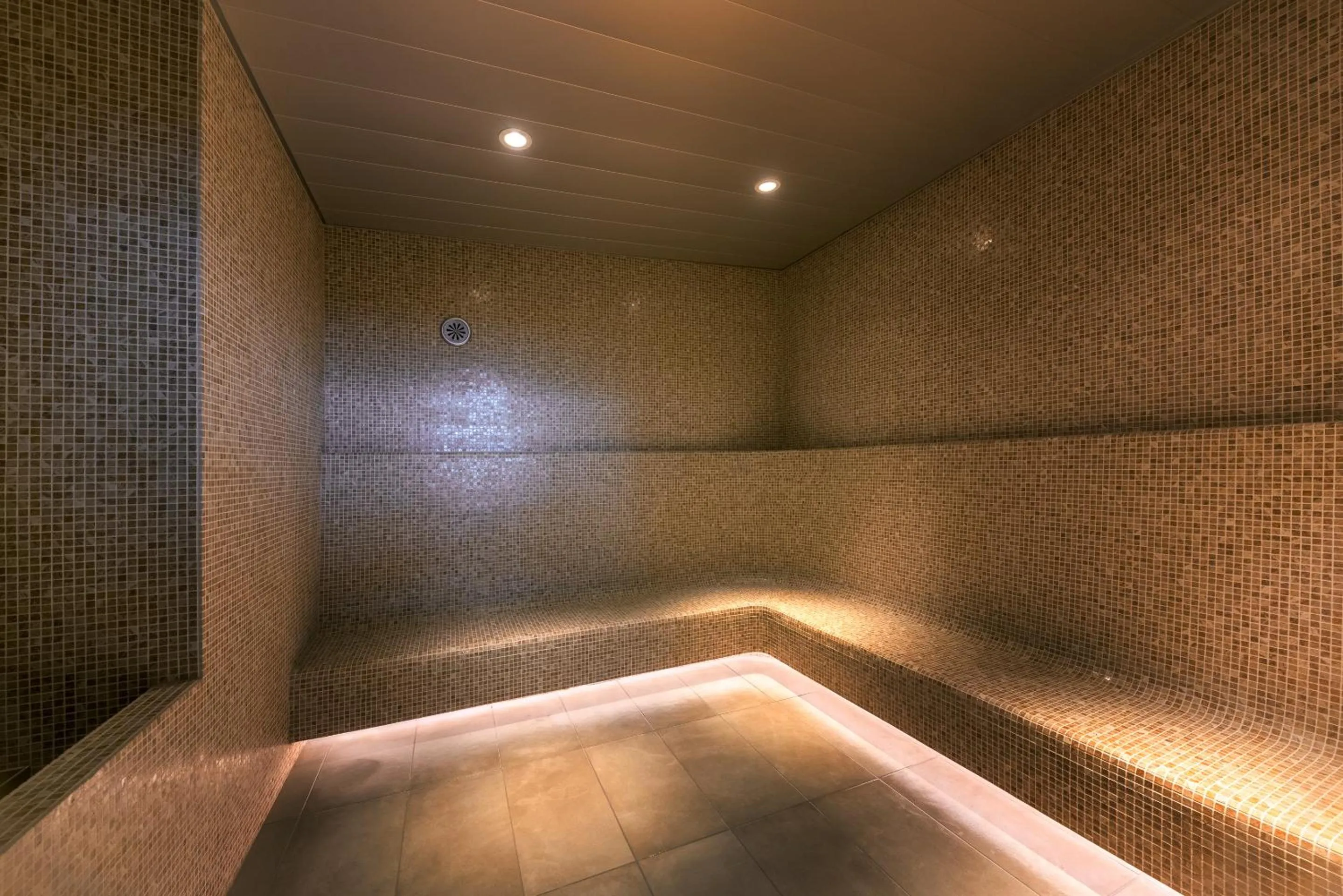 Sauna in Tokyo Bay Shiomi Prince Hotel