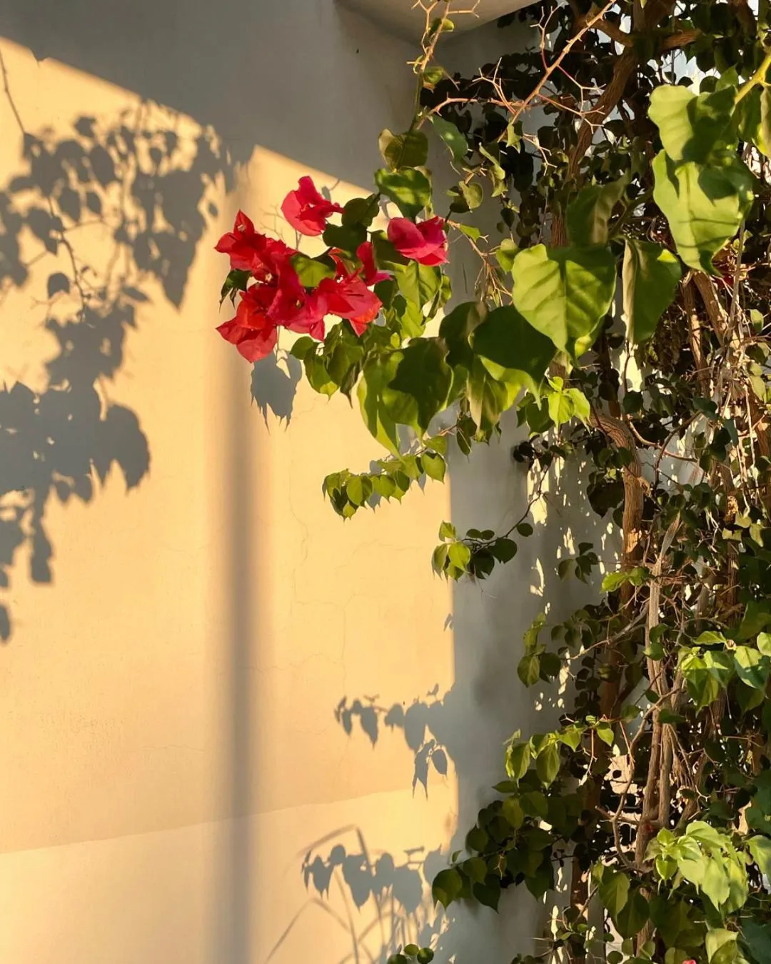 Day in RIX Apartments