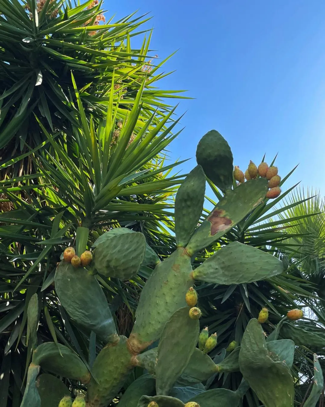 Day in RIX Apartments