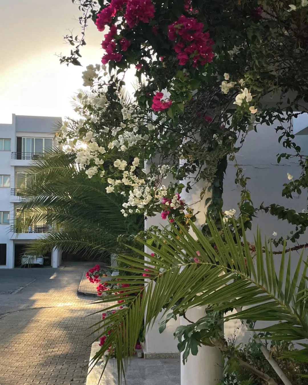 Property building in RIX Apartments