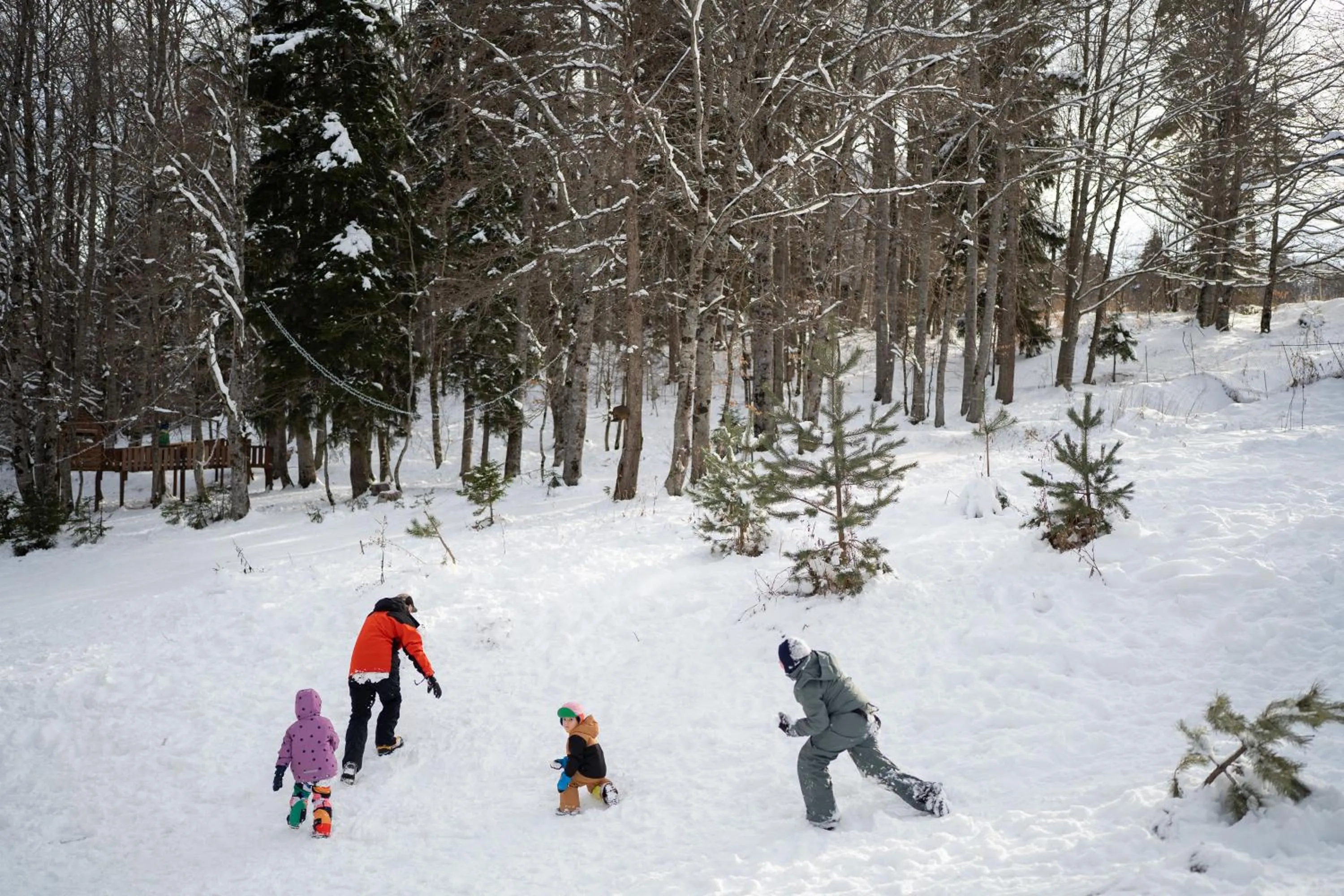 Garden in Kokhta Bakuriani