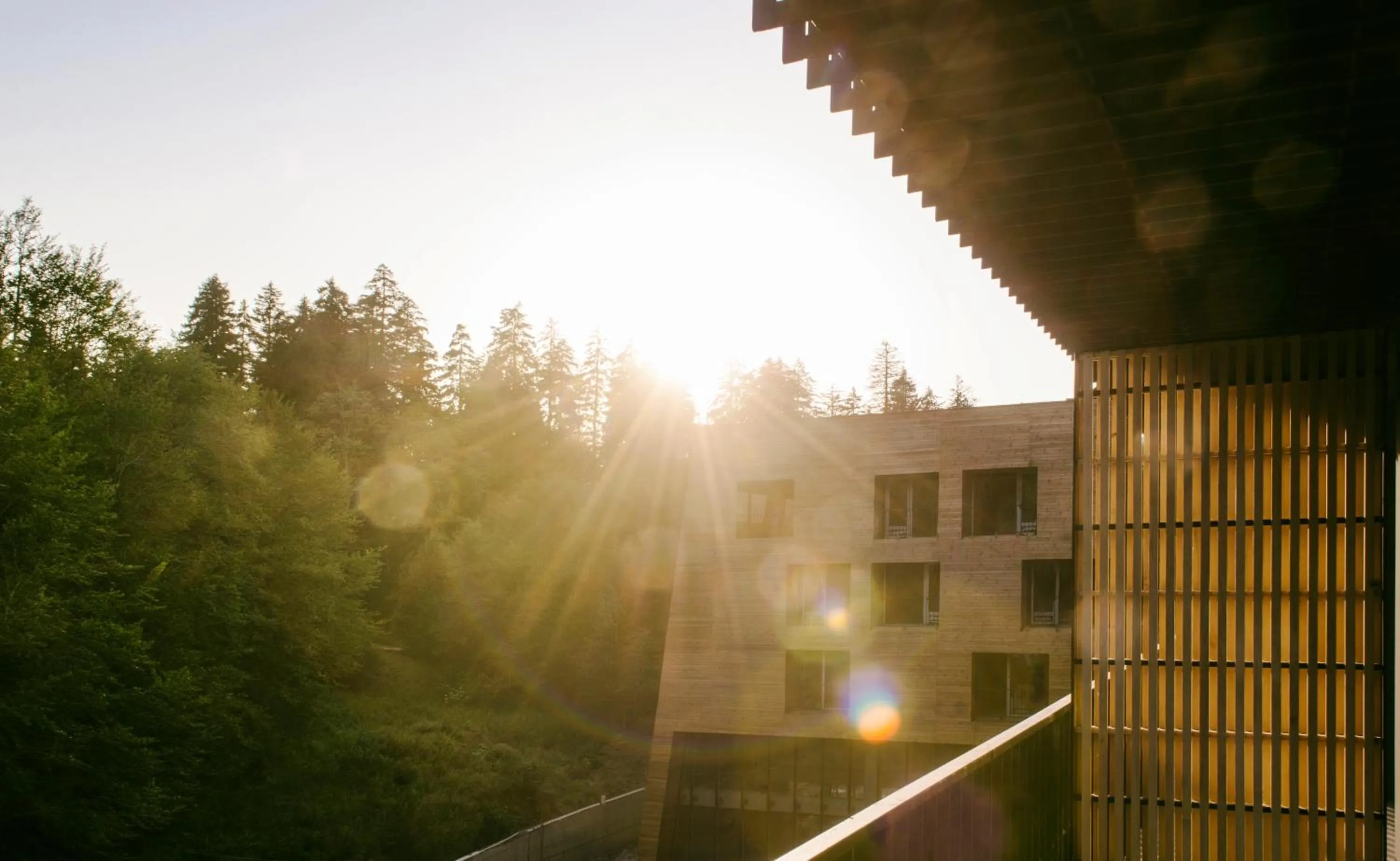 Facade/entrance in Kokhta Bakuriani