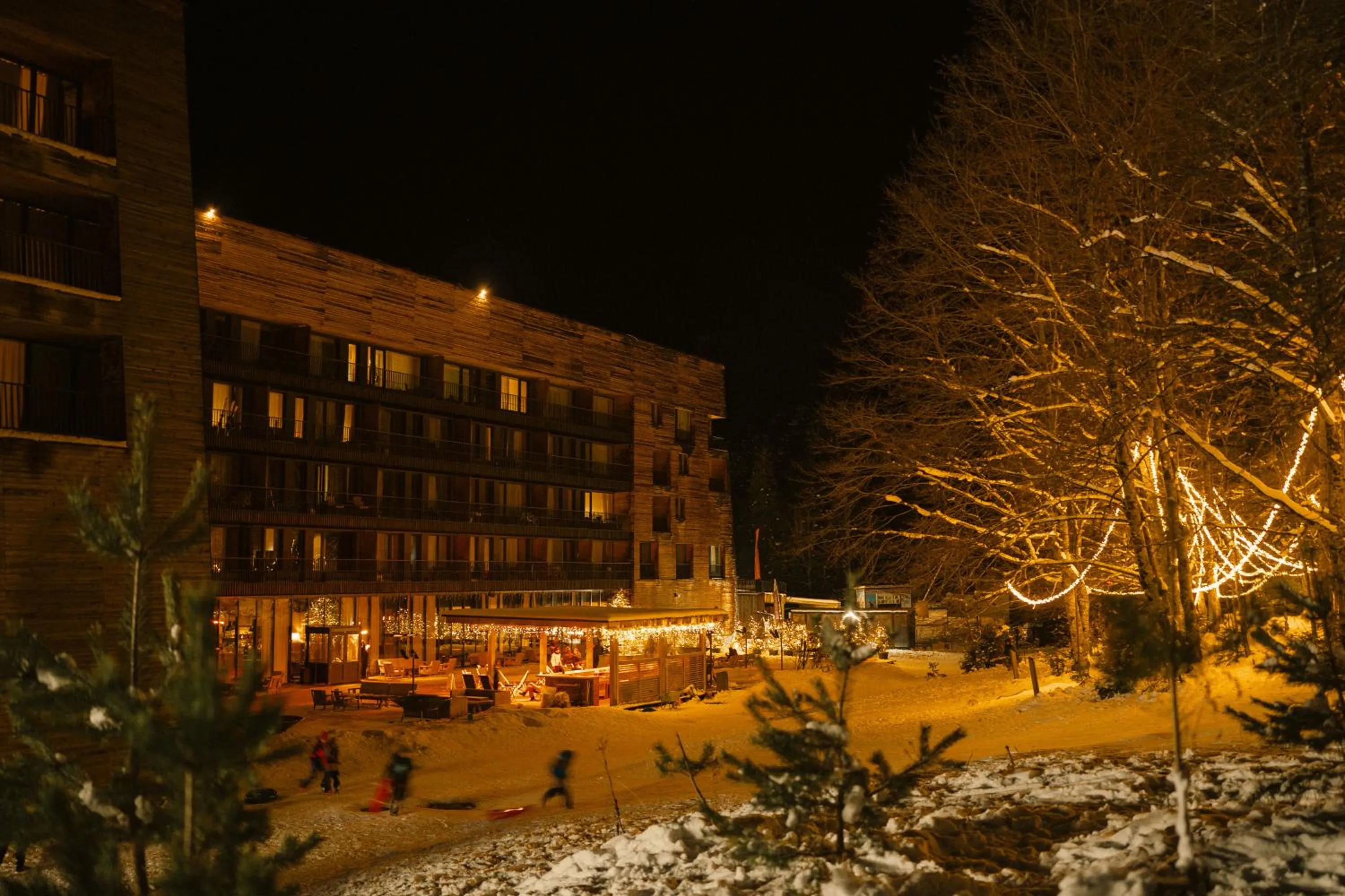 Property building in Kokhta Bakuriani