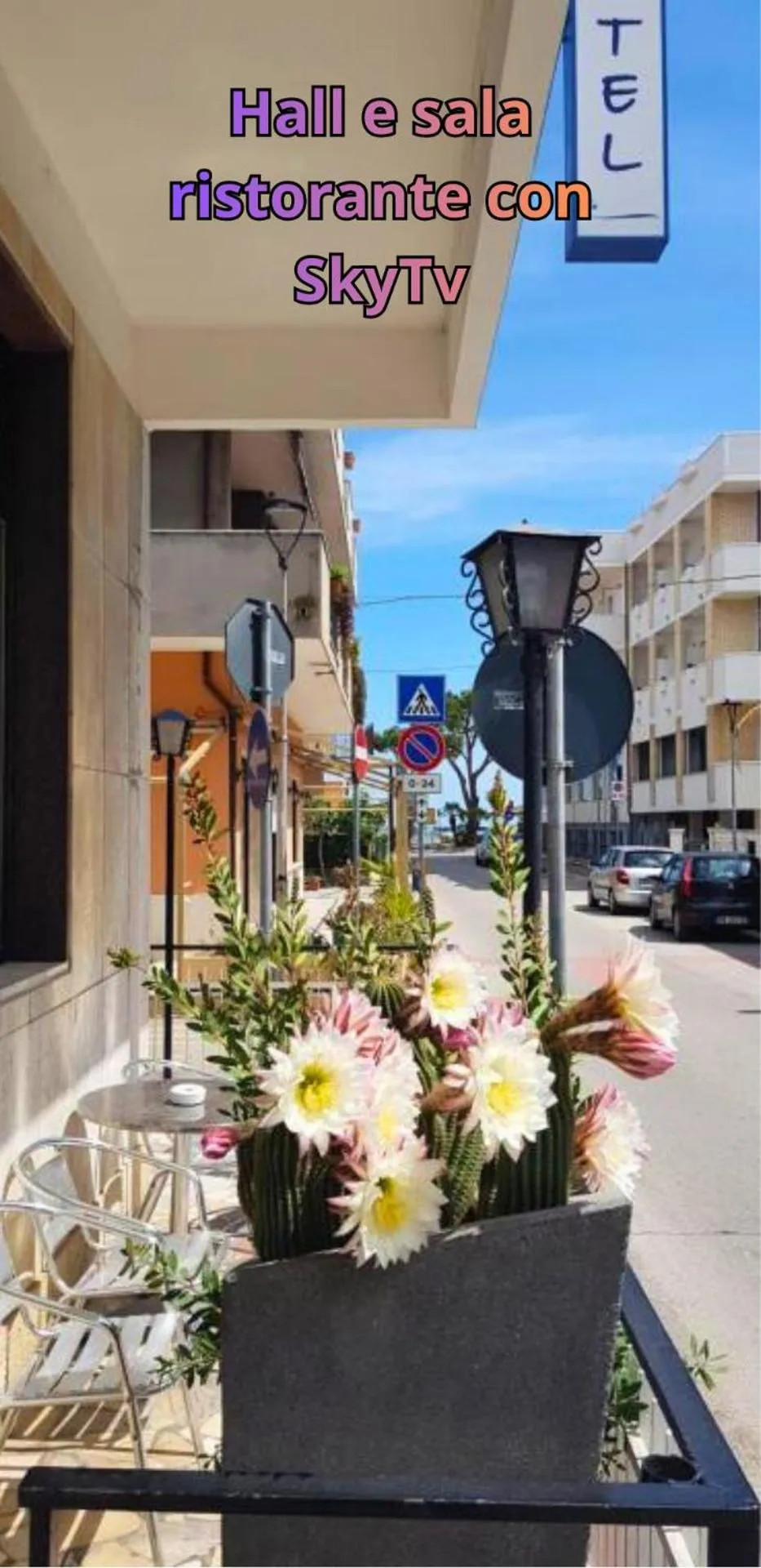 Property building in Hotel Blurelda