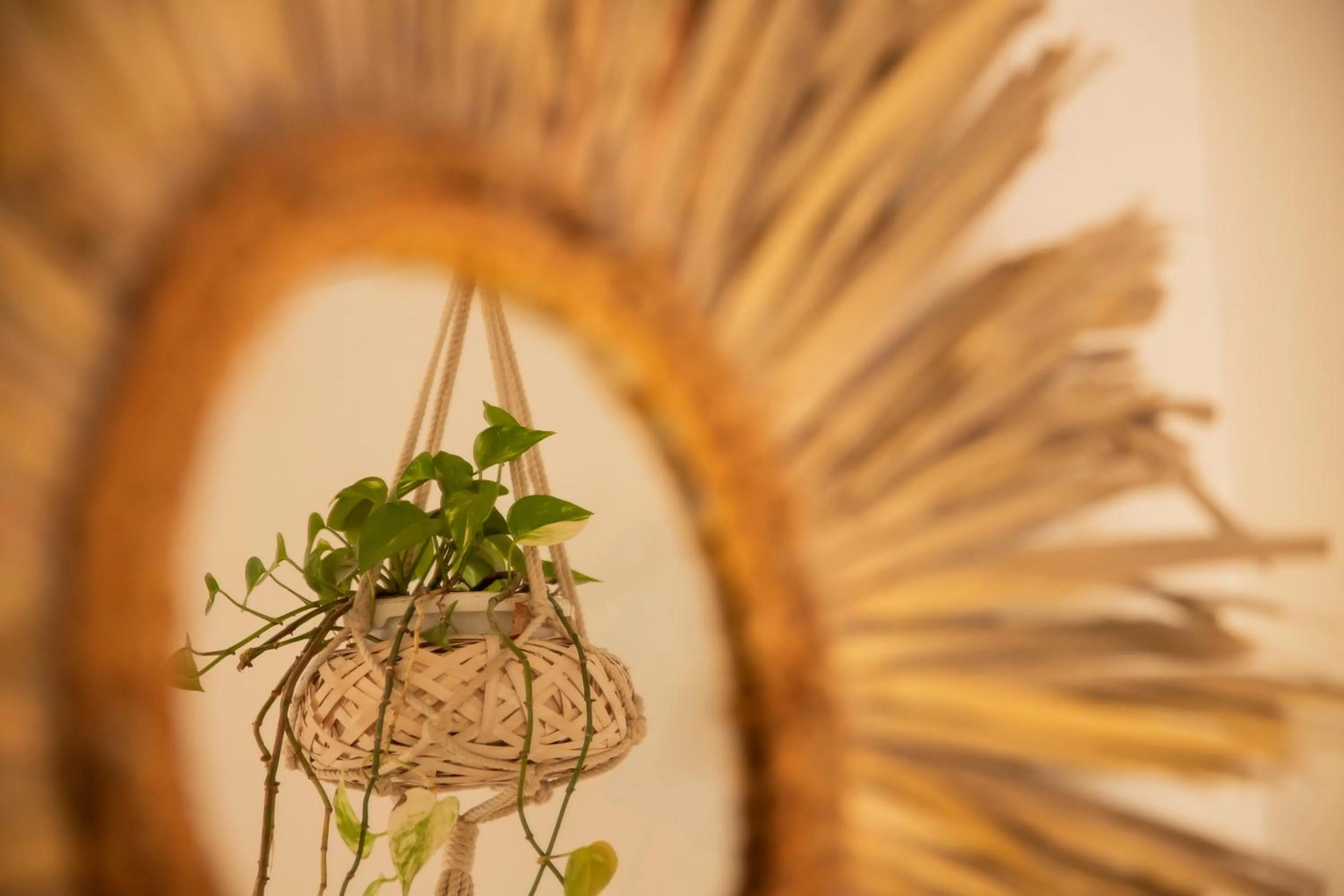 Decorative detail in Rooms Vita