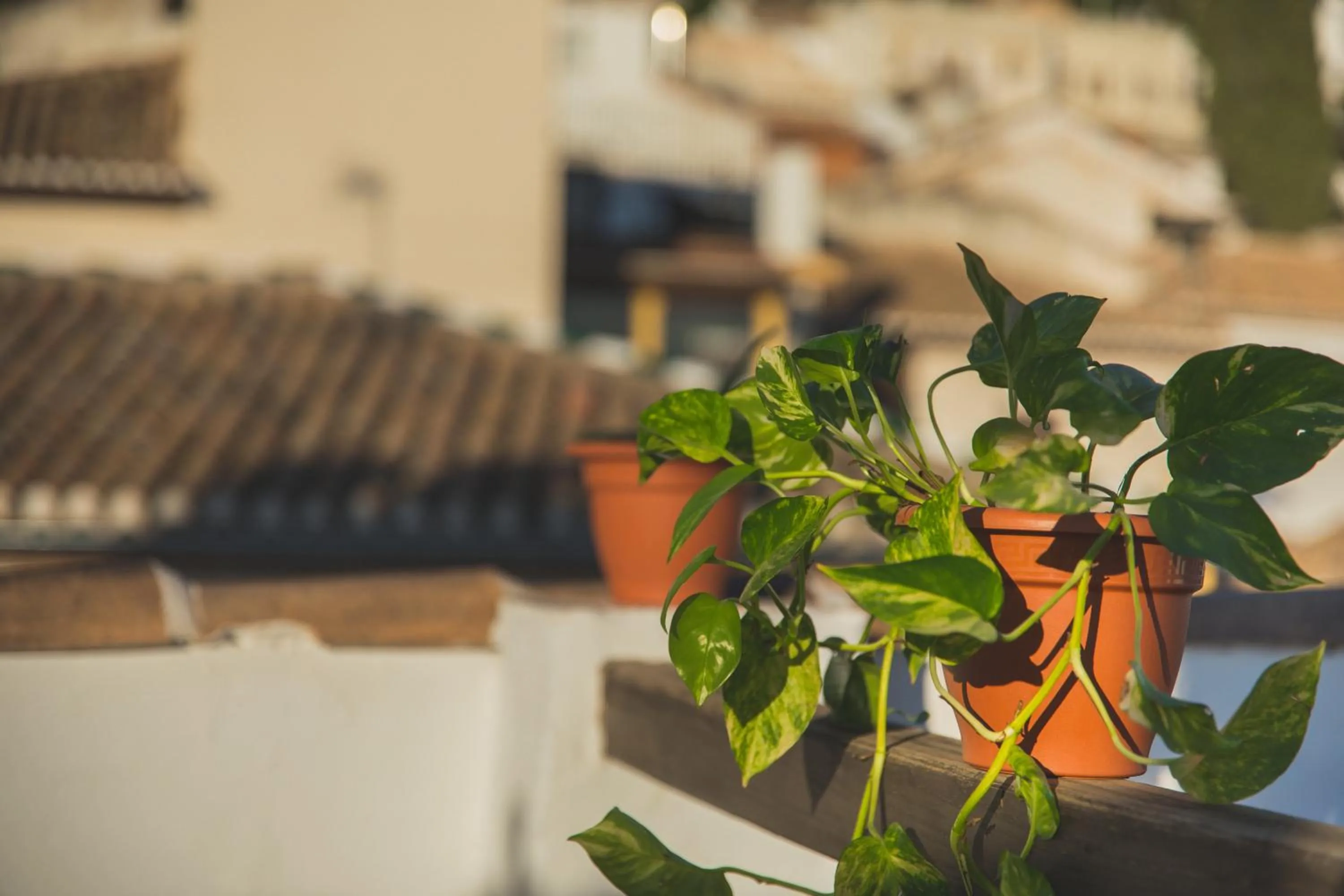Balcony/Terrace in Rooms Vita
