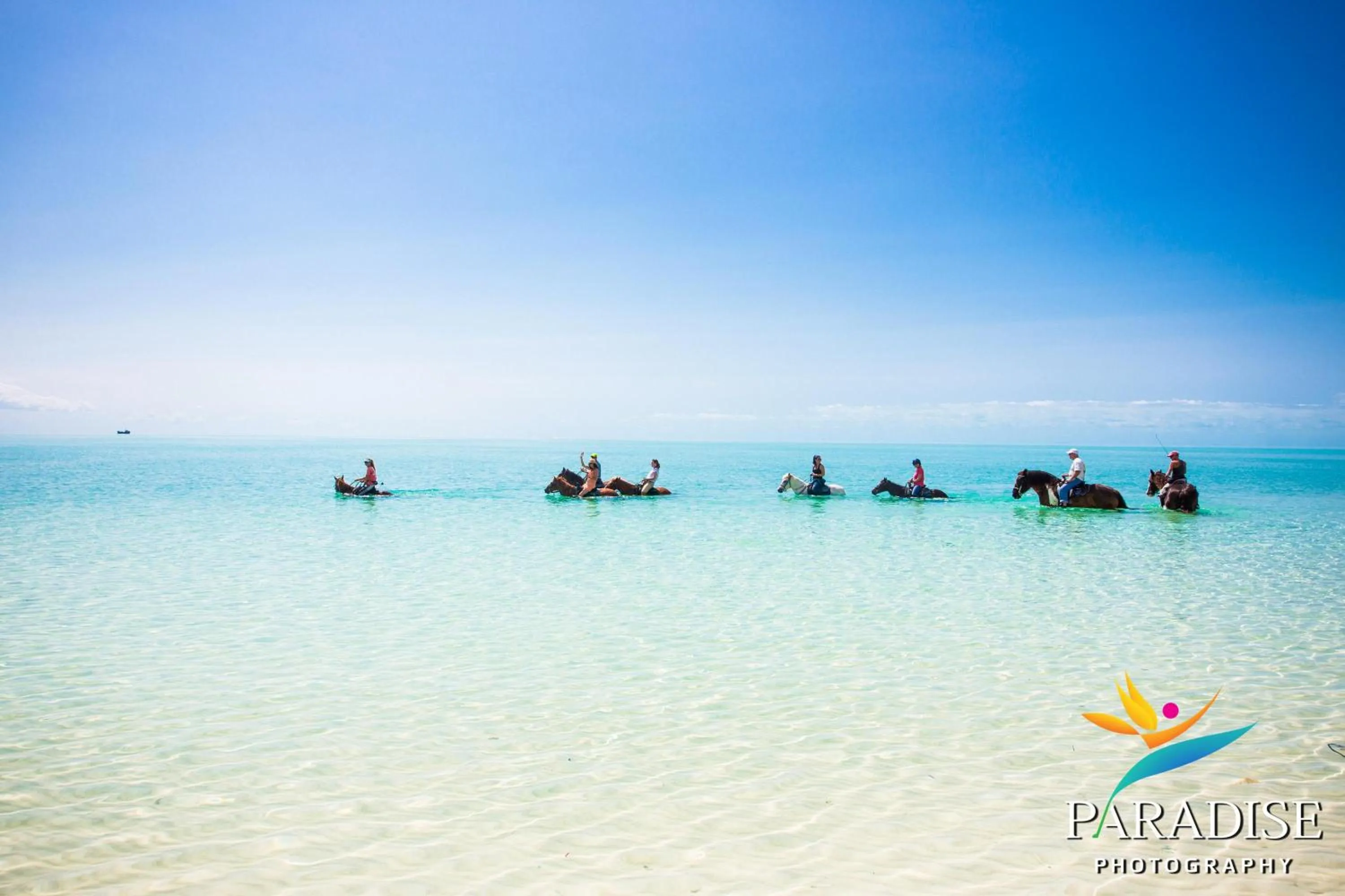 Activities in Kokomo Botanical Resort - Caribbean Family Cottages