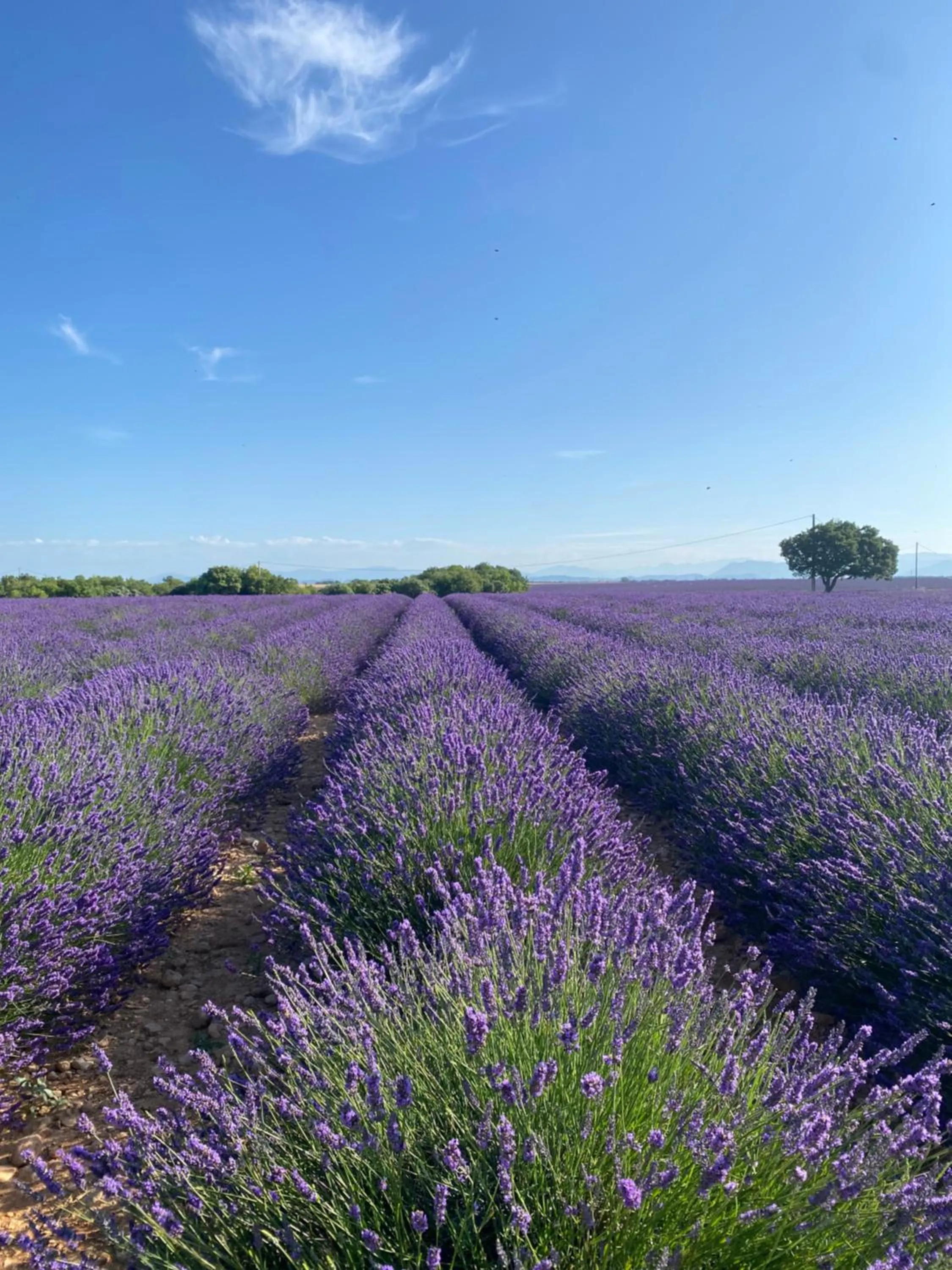 La Bastide Saint Georges & Spa
