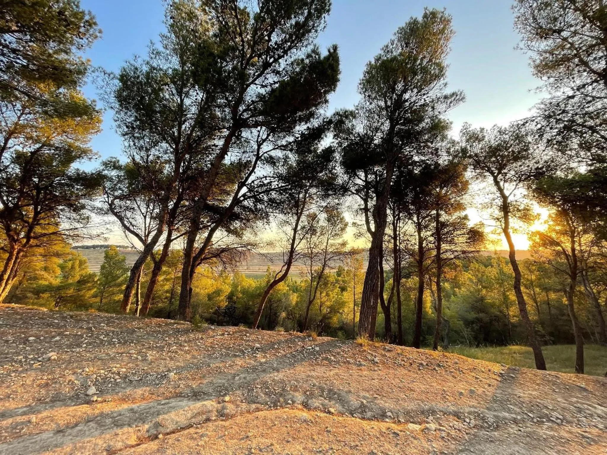 Natural landscape in Hotel du Mas