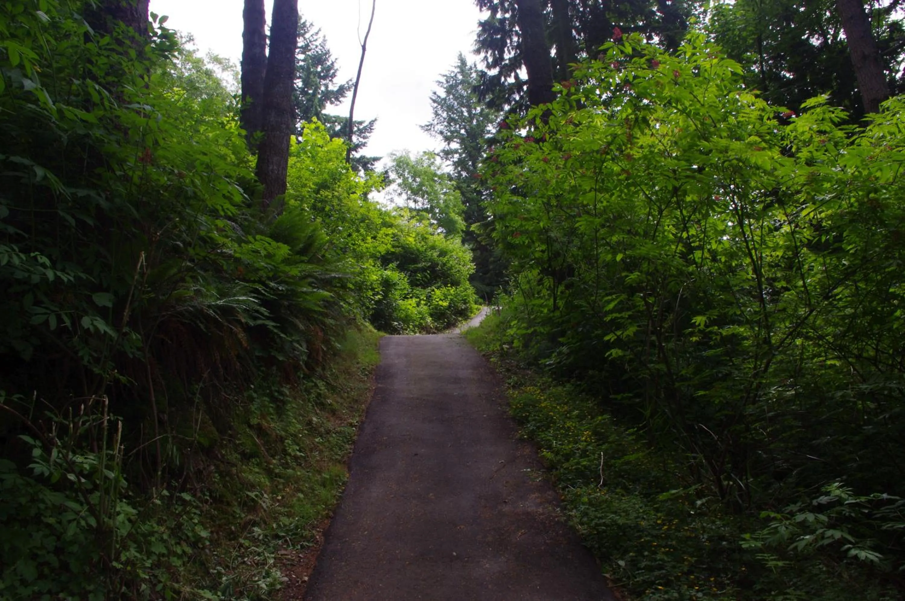 Natural landscape in The Fraser River's Edge B&B Lodge