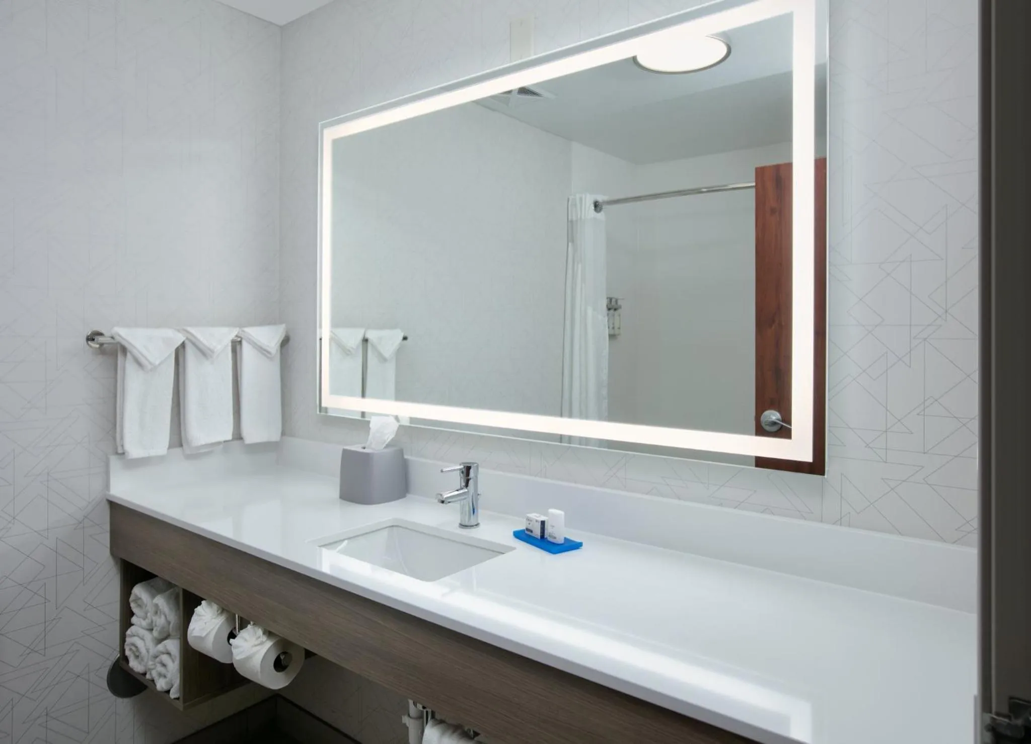 Bathroom in Holiday Inn Express Hotel & Suites Shakopee by IHG