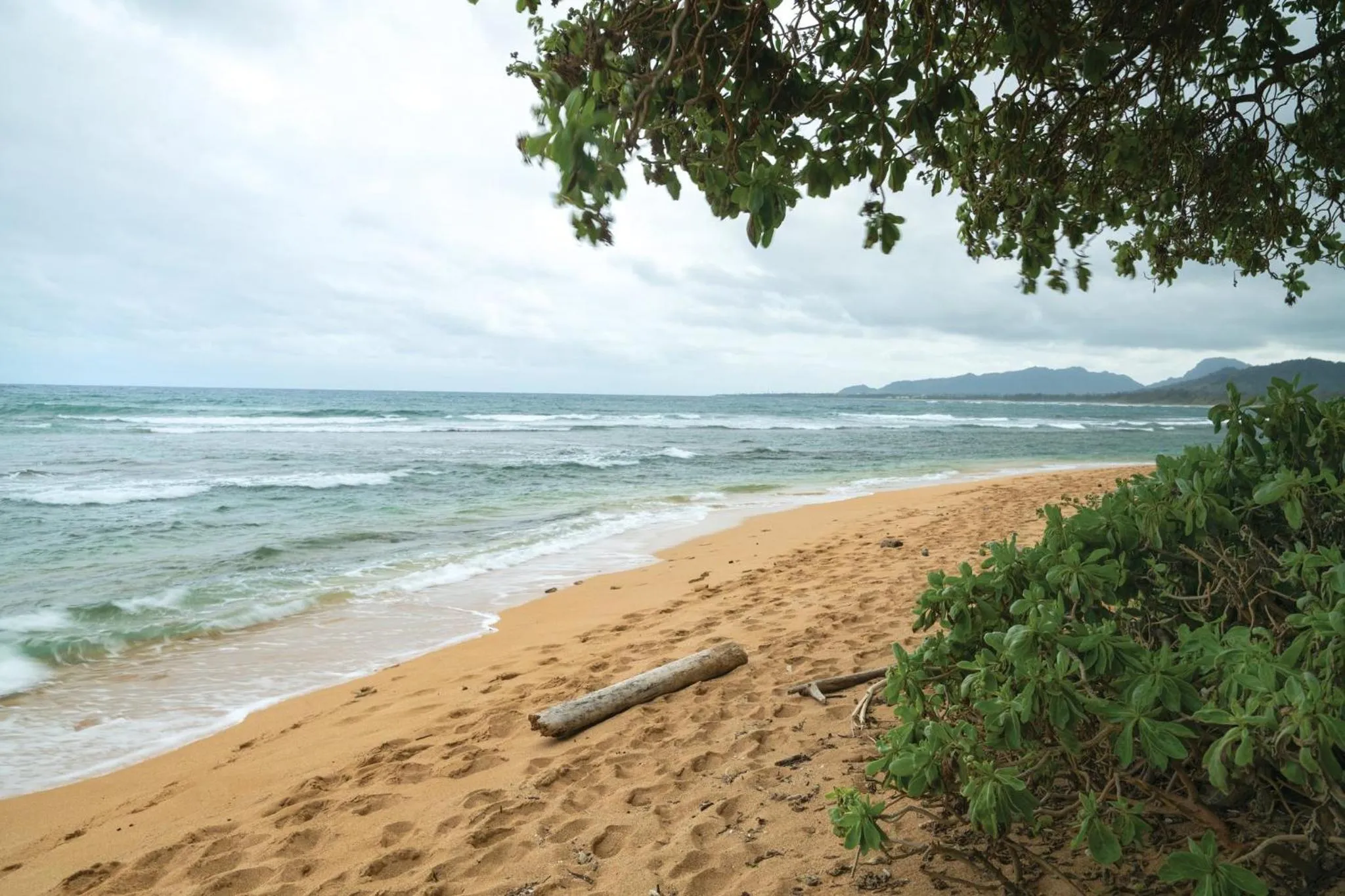 Beach in Kauai Coast Resort at the Beach Boy
