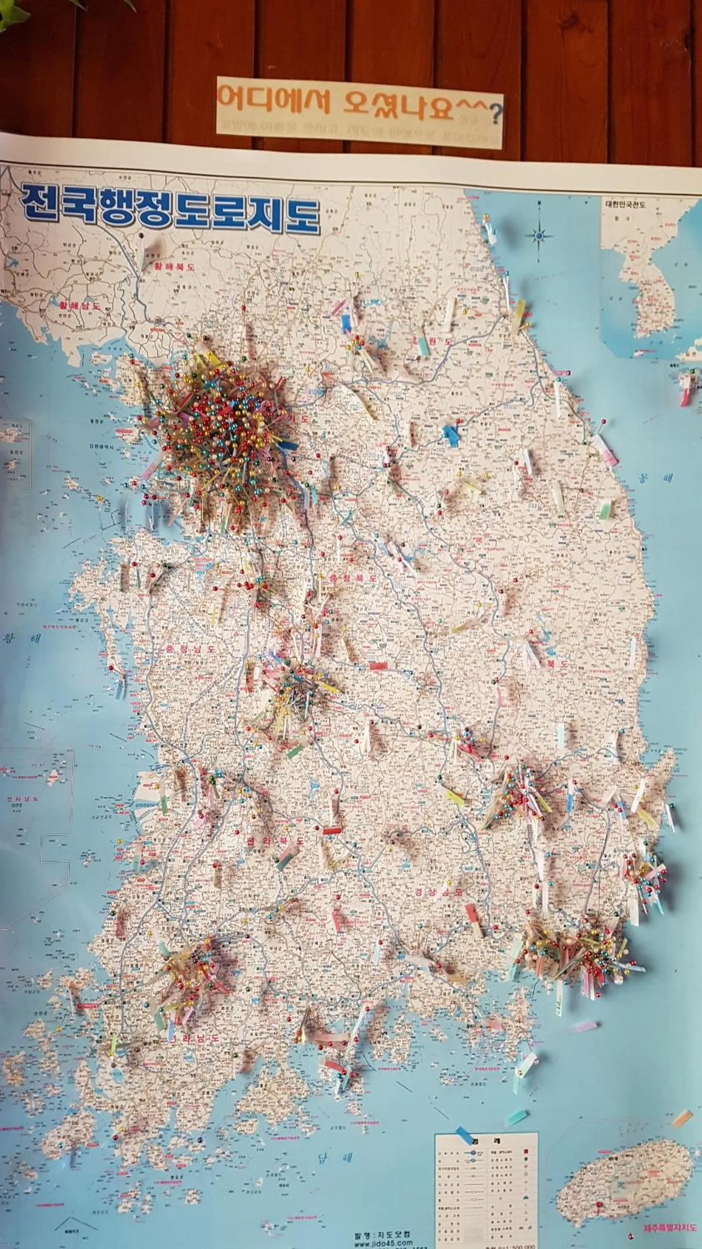 Guesthouse Spring Flower