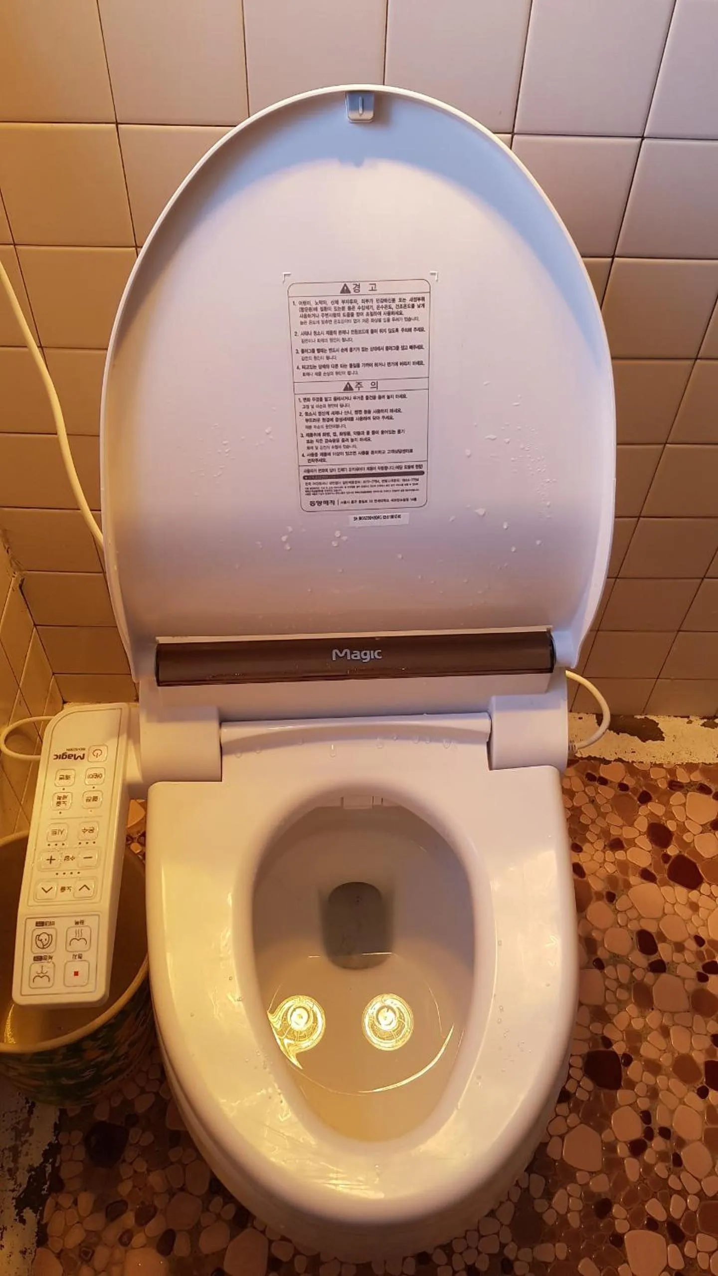 Guesthouse Spring Flower