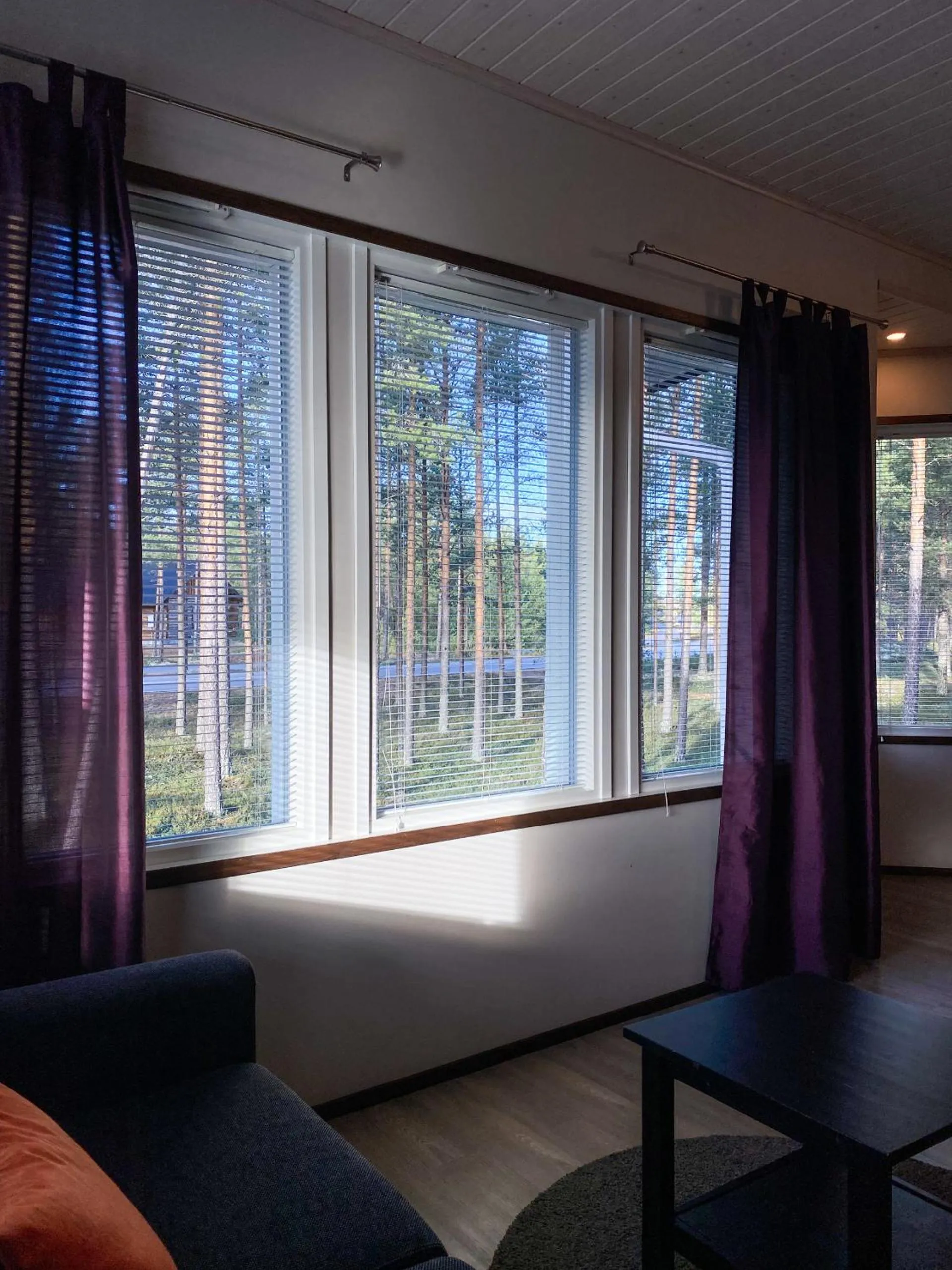 View (from property/room) in Safarimajoitus