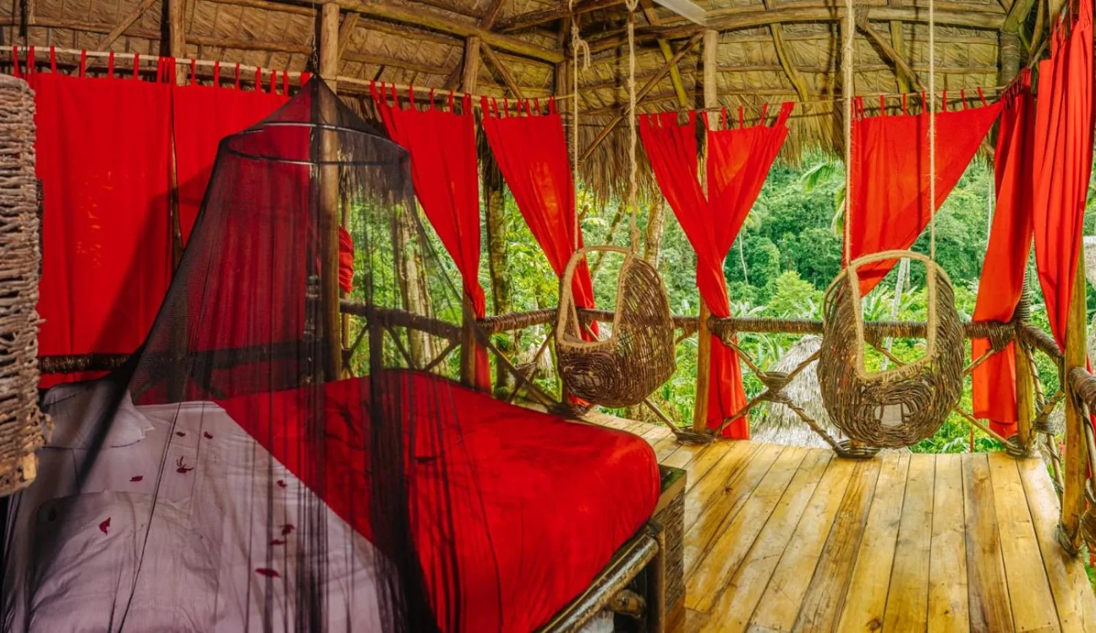 Natural landscape in Dominican Tree House Village