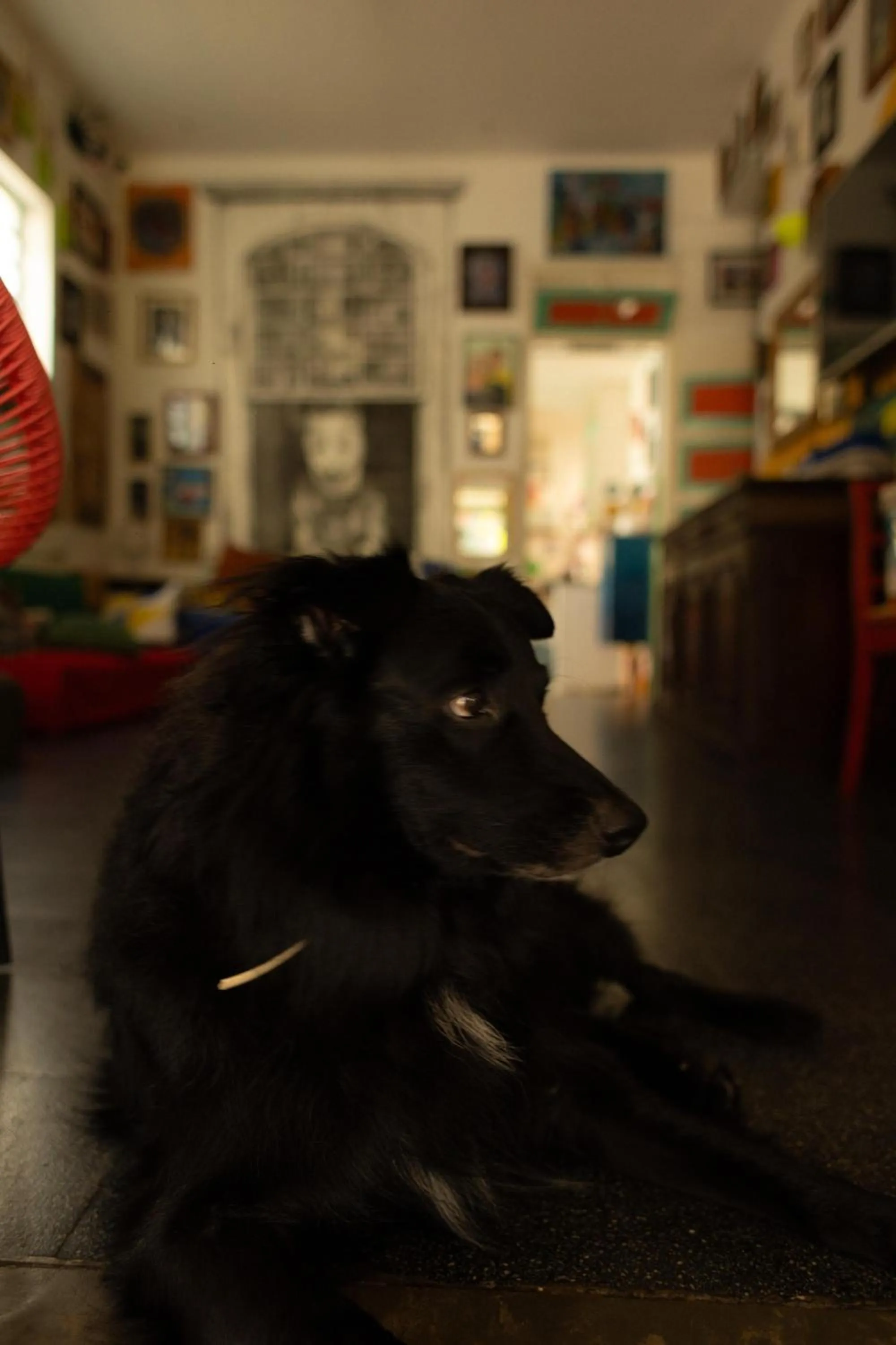 Zili Pernambuco - Hostel Pousada