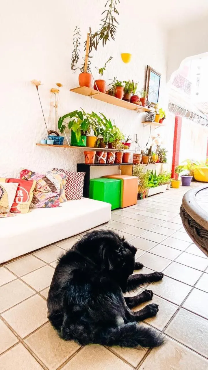 Zili Pernambuco - Hostel Pousada