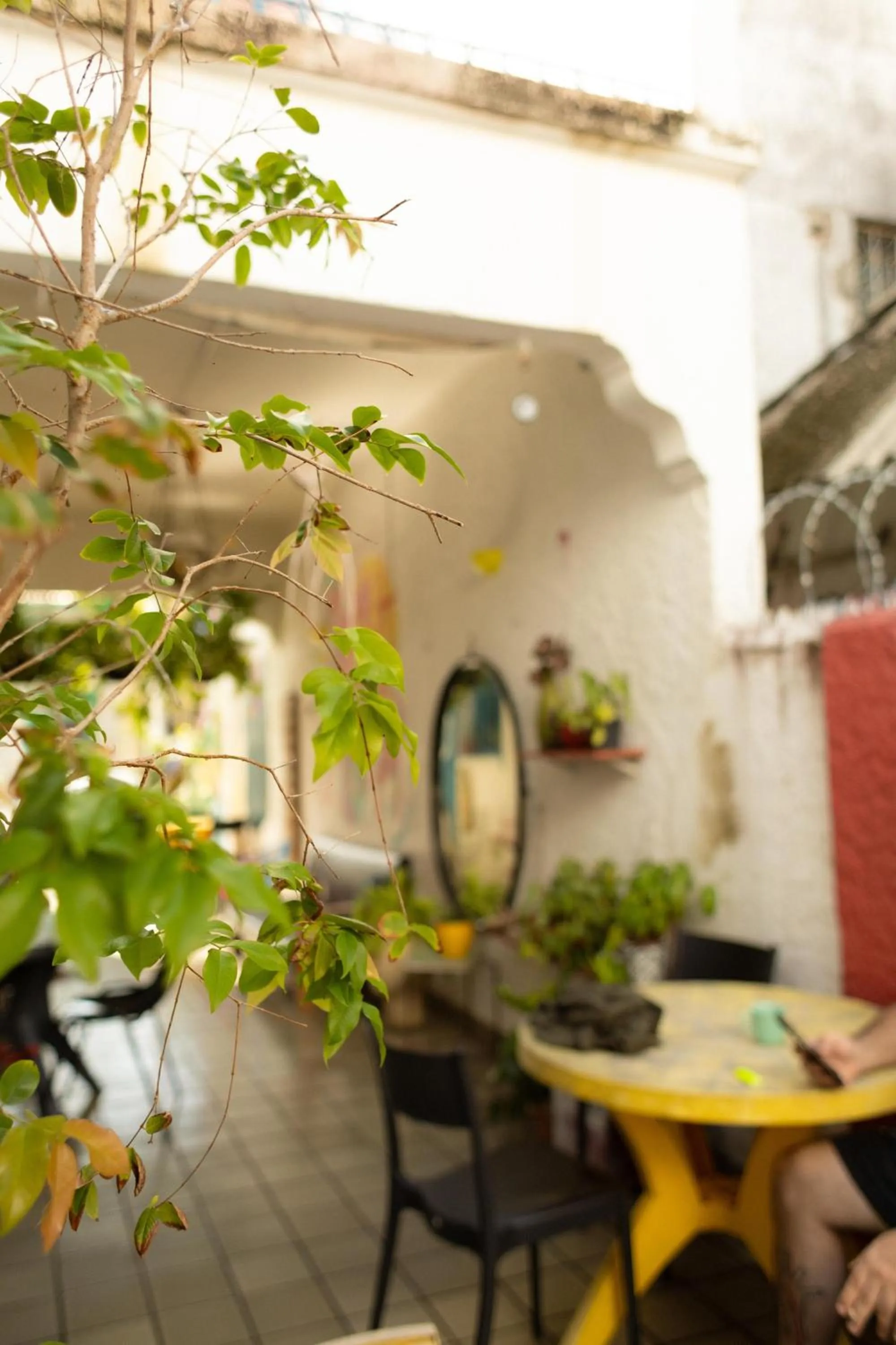 Zili Pernambuco - Hostel Pousada