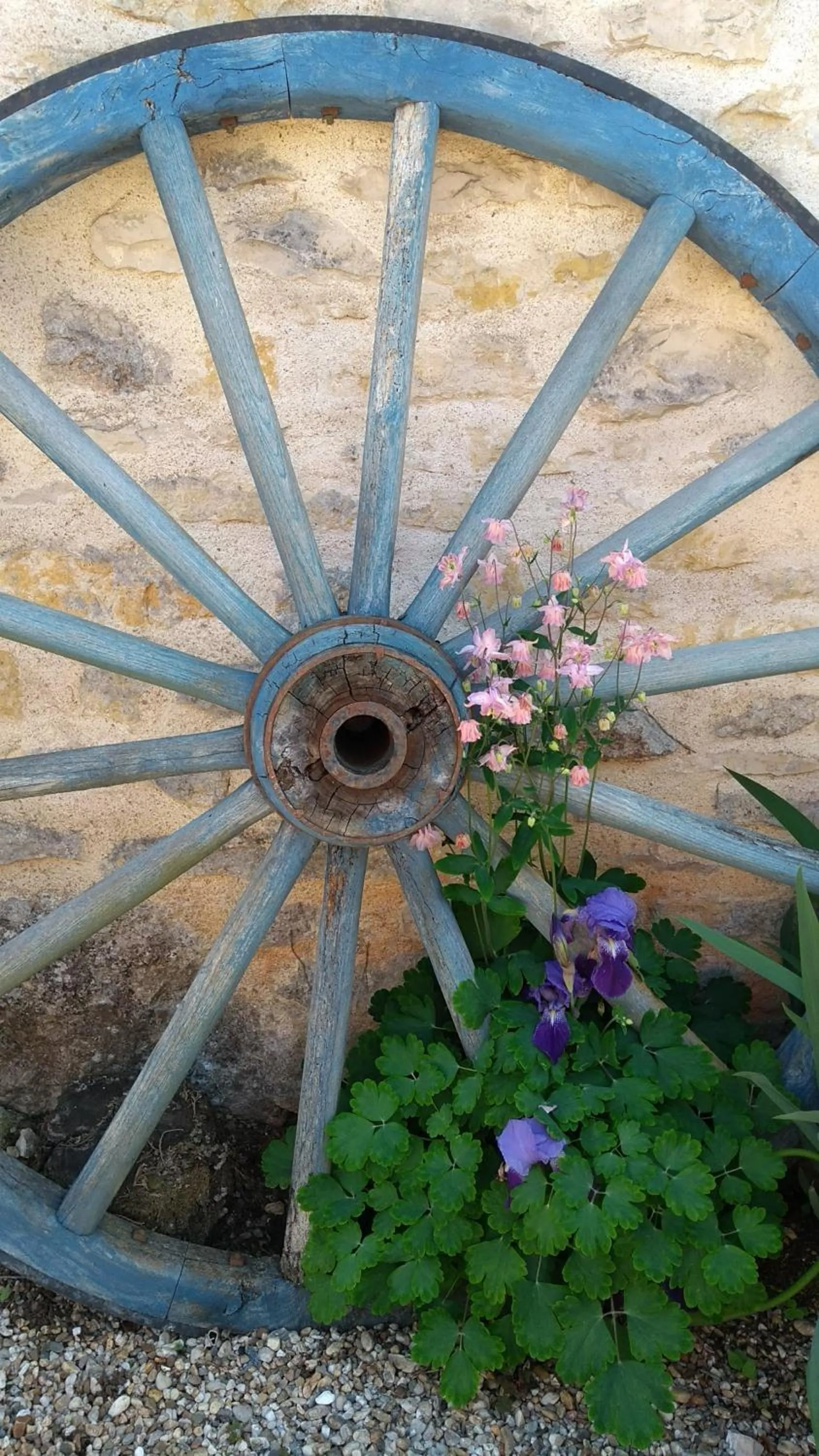 Domaine de Cadenne