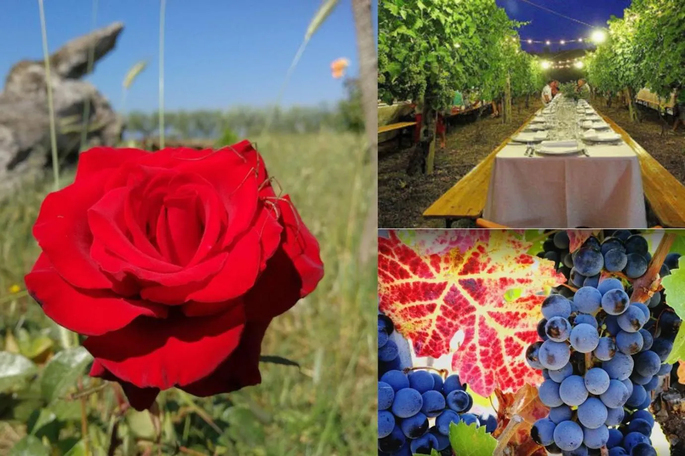 Entertainment in Le casette di Frà al Bondì