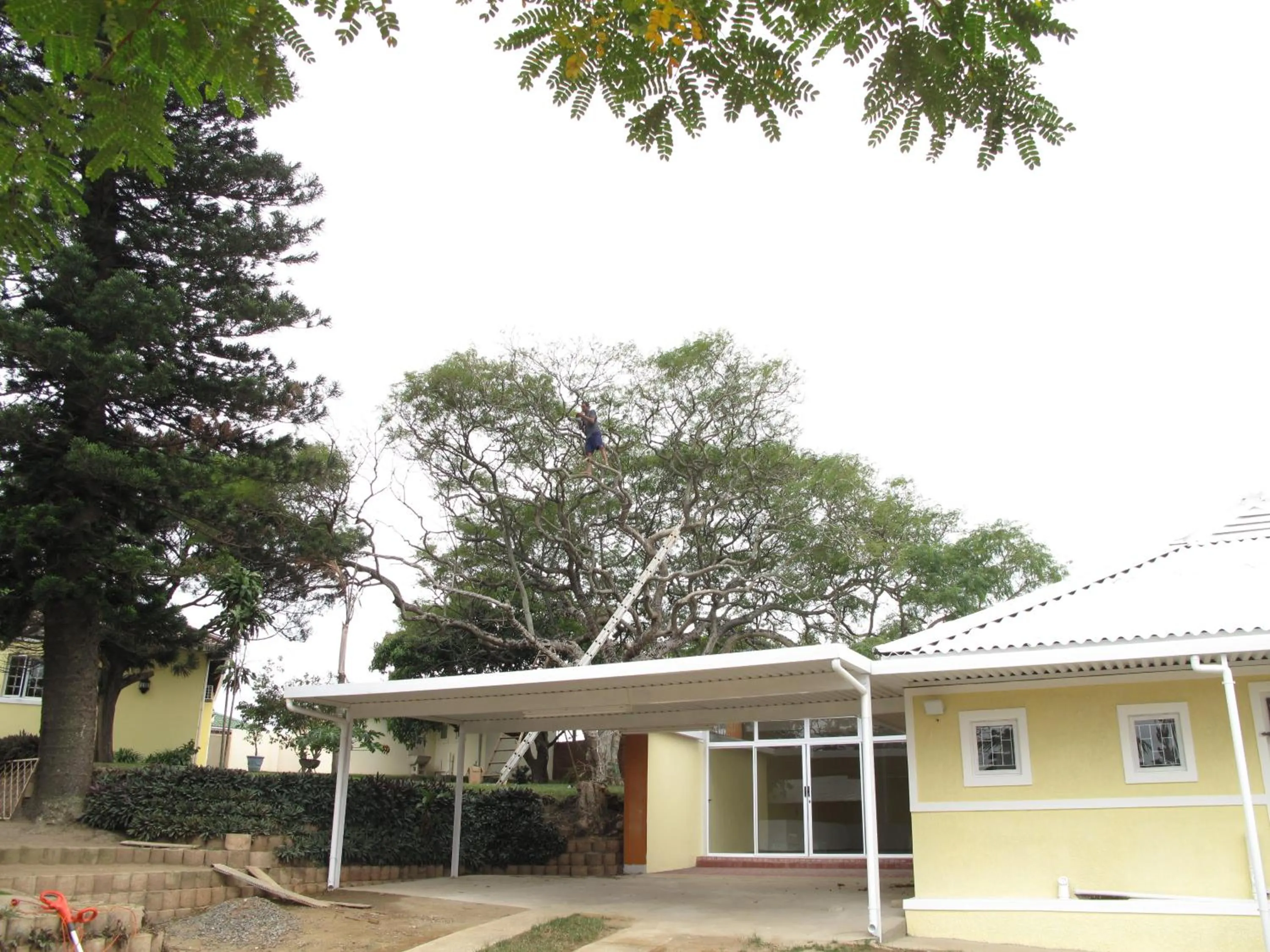 Facade/entrance in The Crescent Guesthouses - BnB/Self Catering