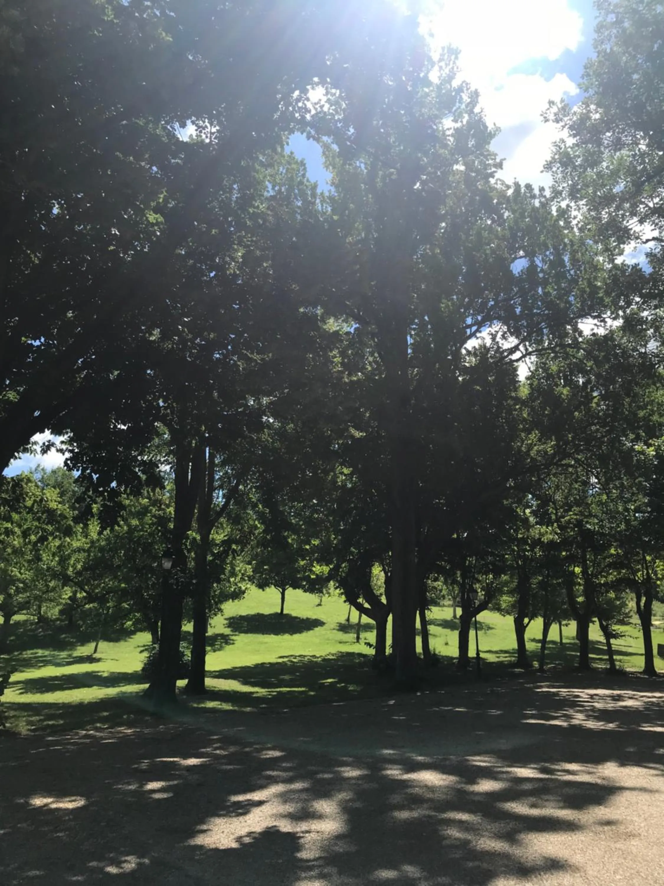 Natural landscape in Château de Loubéjac