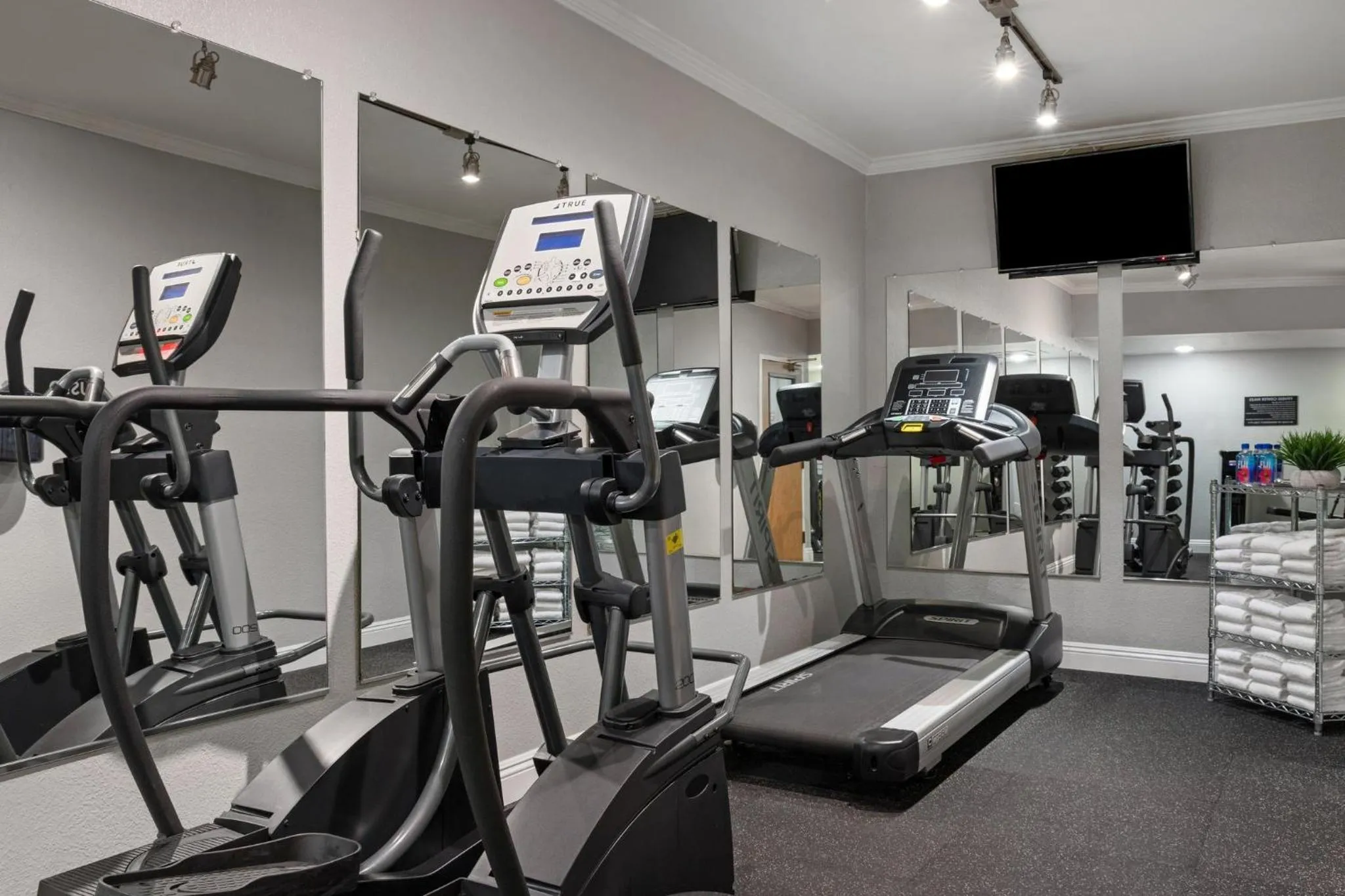 Fitness centre/facilities in Peacock Suites