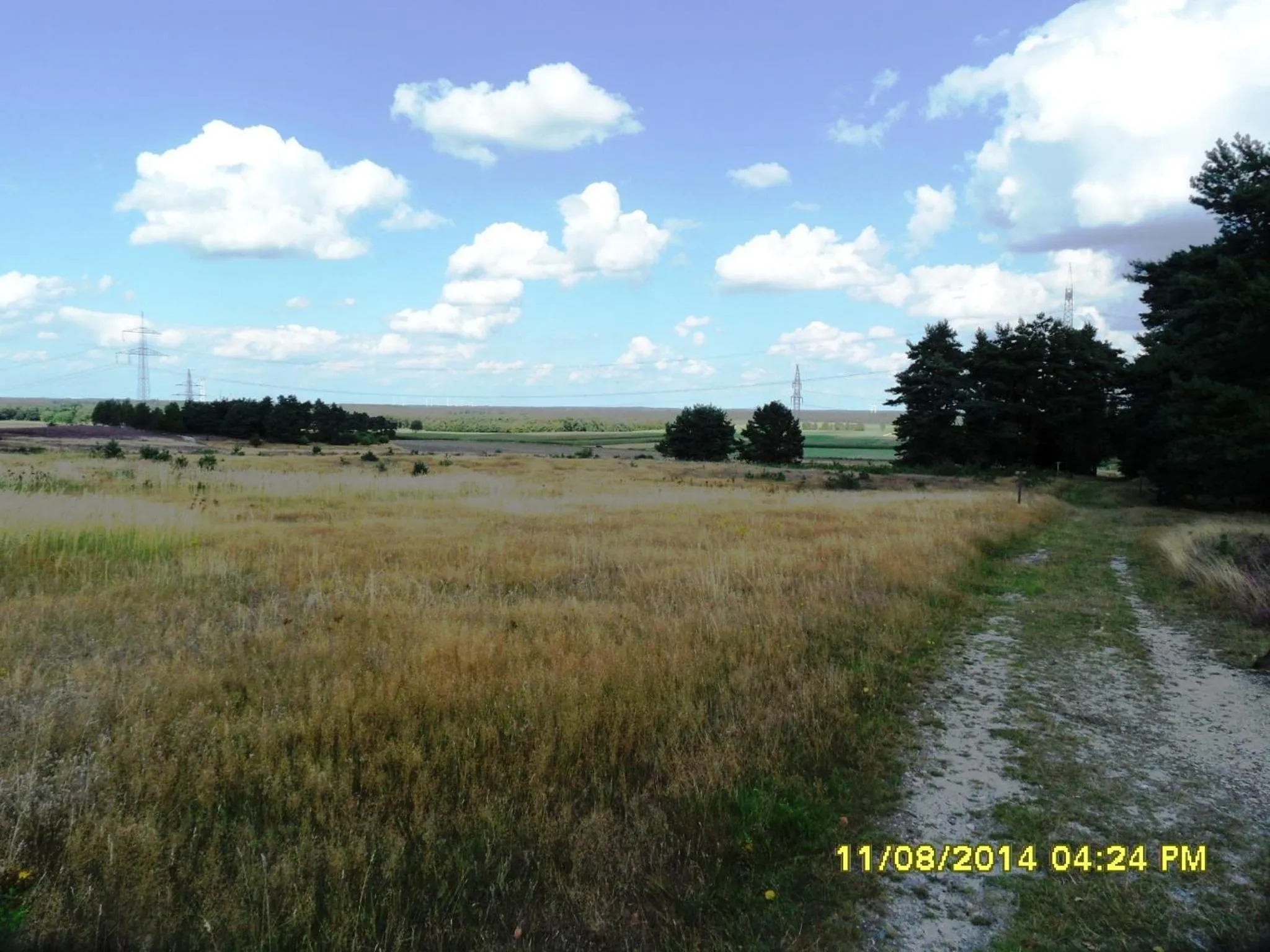Hiking in Ferienwohnung Uchte