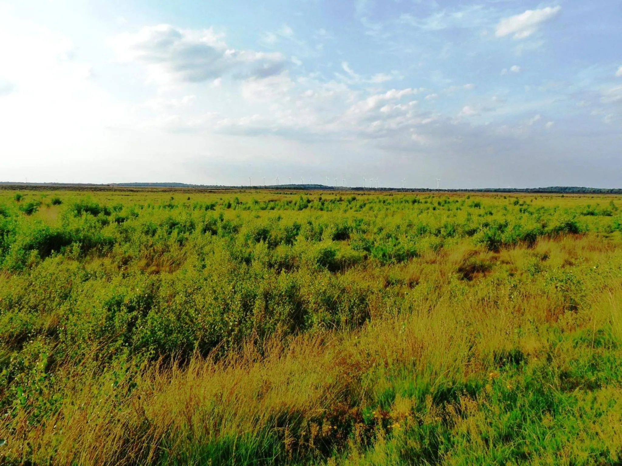 Natural landscape in Ferienwohnung Uchte